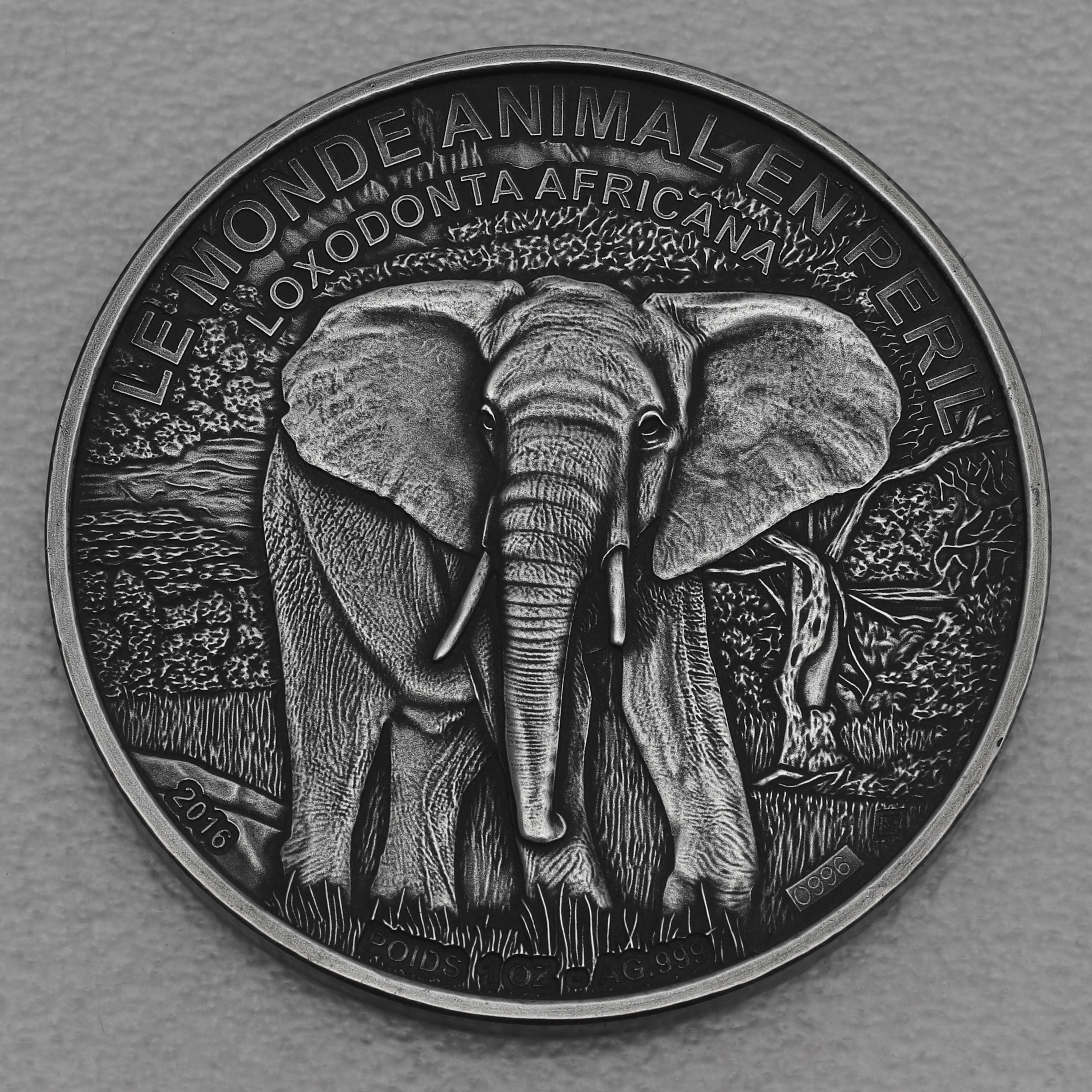 Silbermünze 1oz "Elefant" 2016 Antik Finish Elefant in Gefahr (Elfenbeinküste) - Hauptansicht
