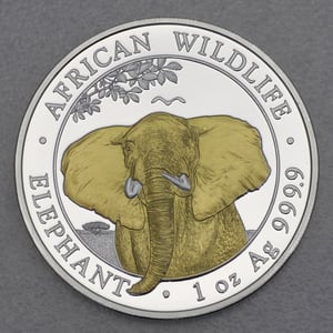 Silbermünze 1oz "Elefant" 2021 (vergoldet) African Wildlife (Somalia) - Miniaturansicht 1
