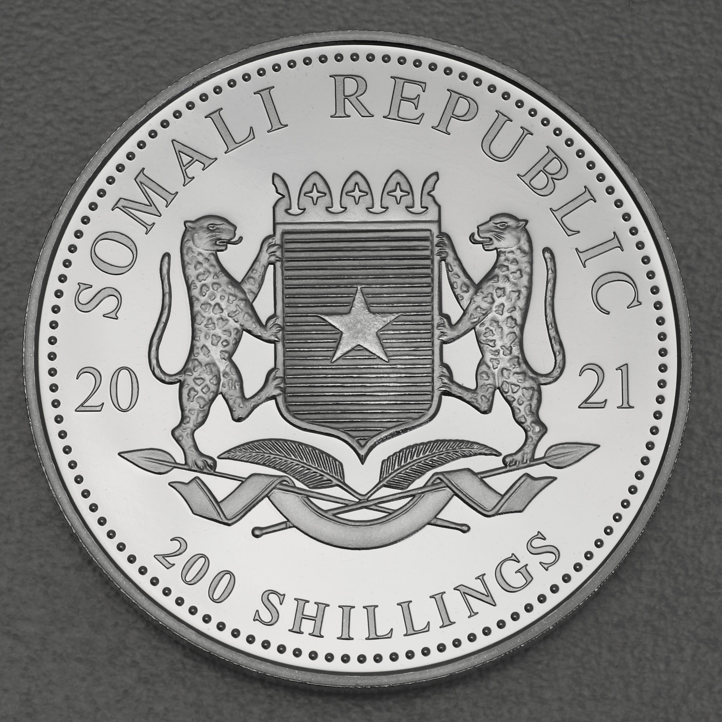Silbermünze 2oz "Elefant" 2021 African Wildlife (Somalia) - Detailansicht 1