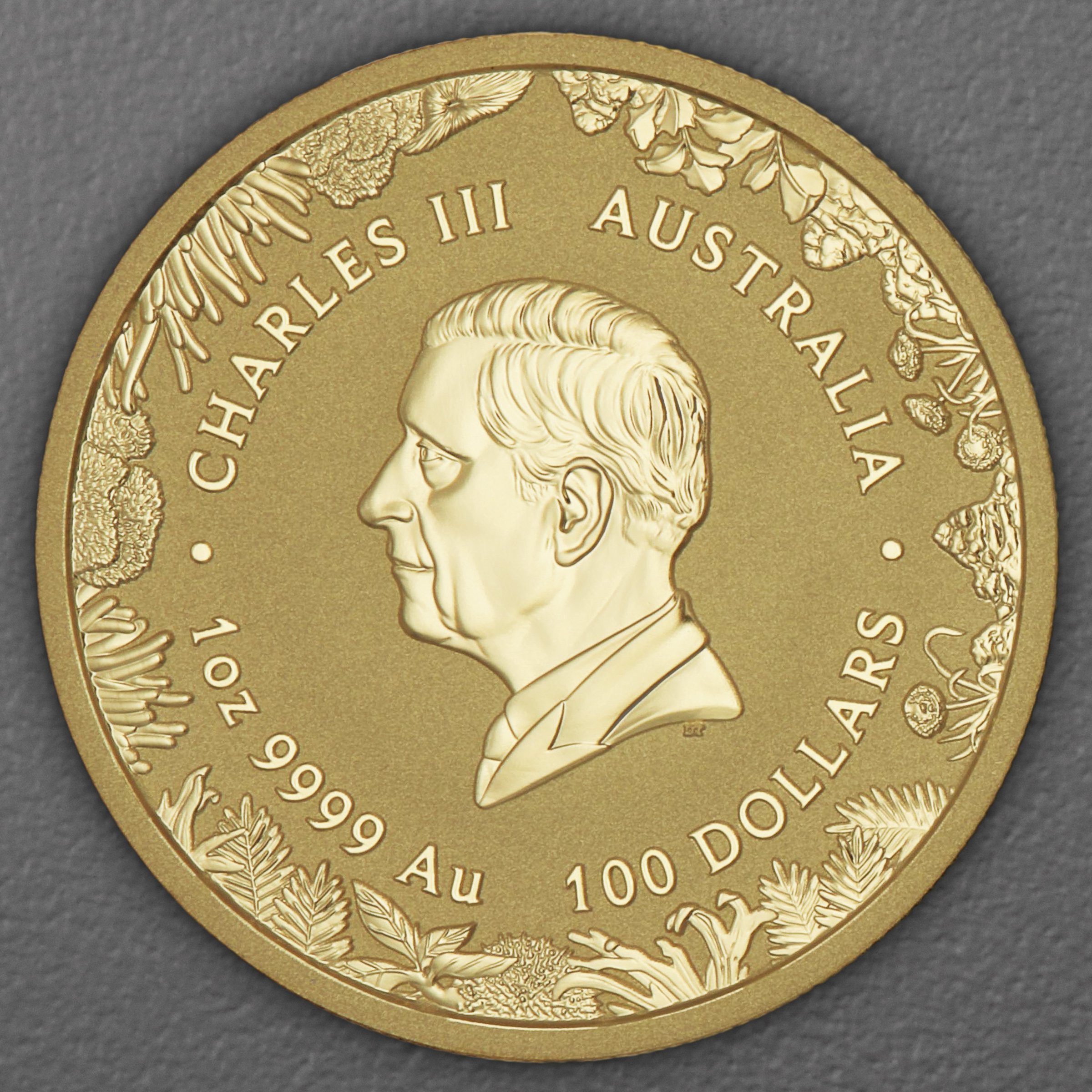 Goldmünze 1oz "The Outback" 2026 Wonders of Australia (Australien) - Detailansicht 1