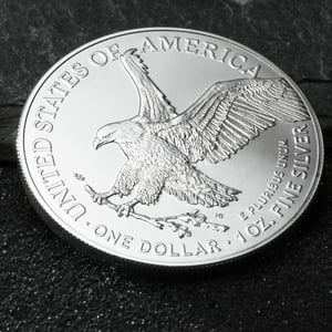 Silbermünze 1oz "American Eagle" verschiedene Jahrgänge (USA) 19% - Miniaturansicht 5