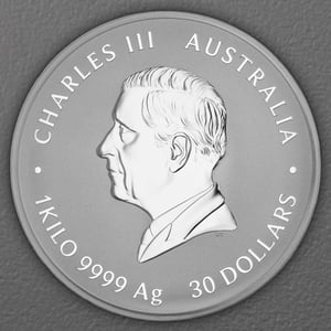 Silbermünze 1kg "Pferd" 2026 Lunar III – Year of the Horse (Australien) - Miniaturansicht 2