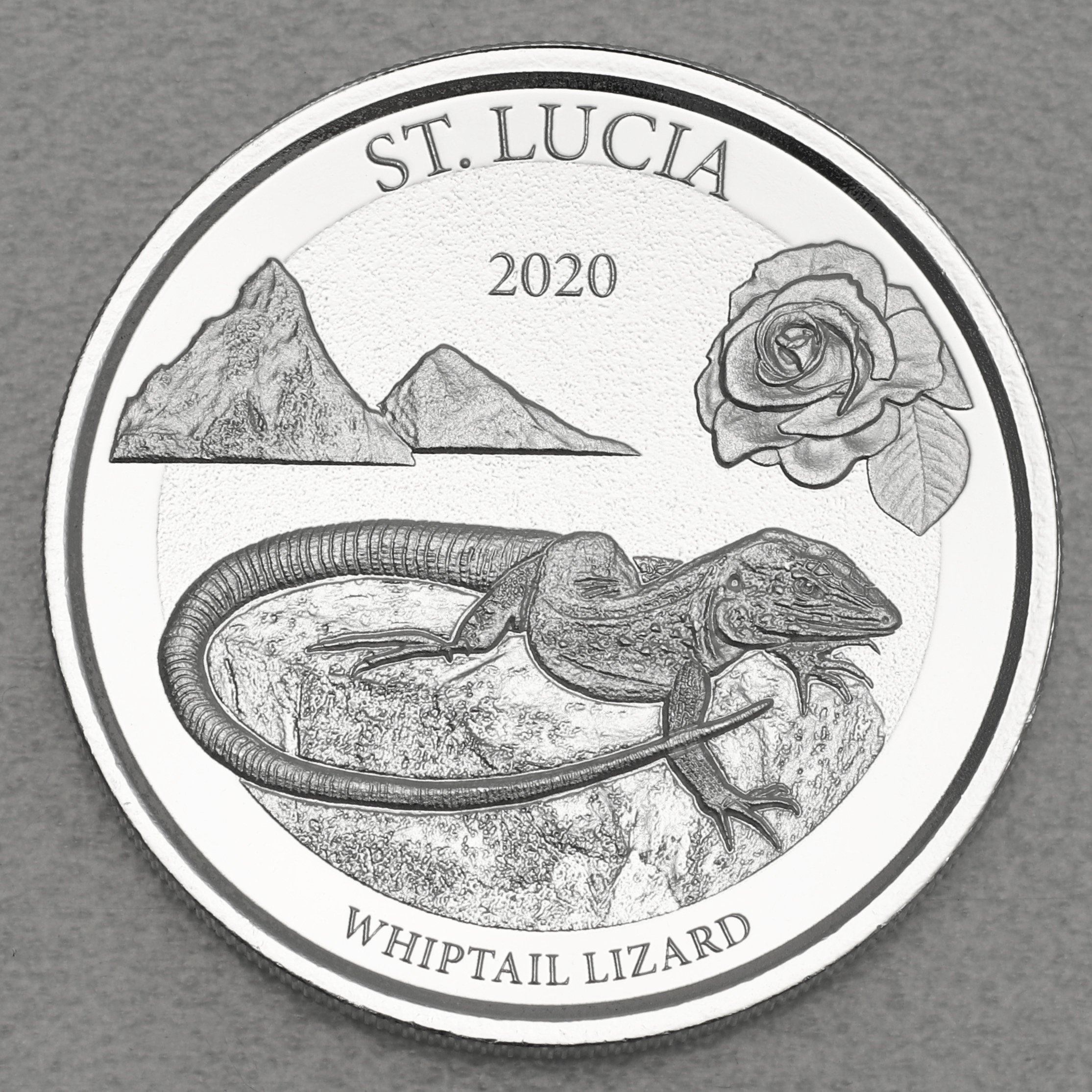 Silbermünze 1oz "Whiptail Lizard" 2020 (PP) Eastern Caribbean 8 (St. Lucia) - Hauptansicht