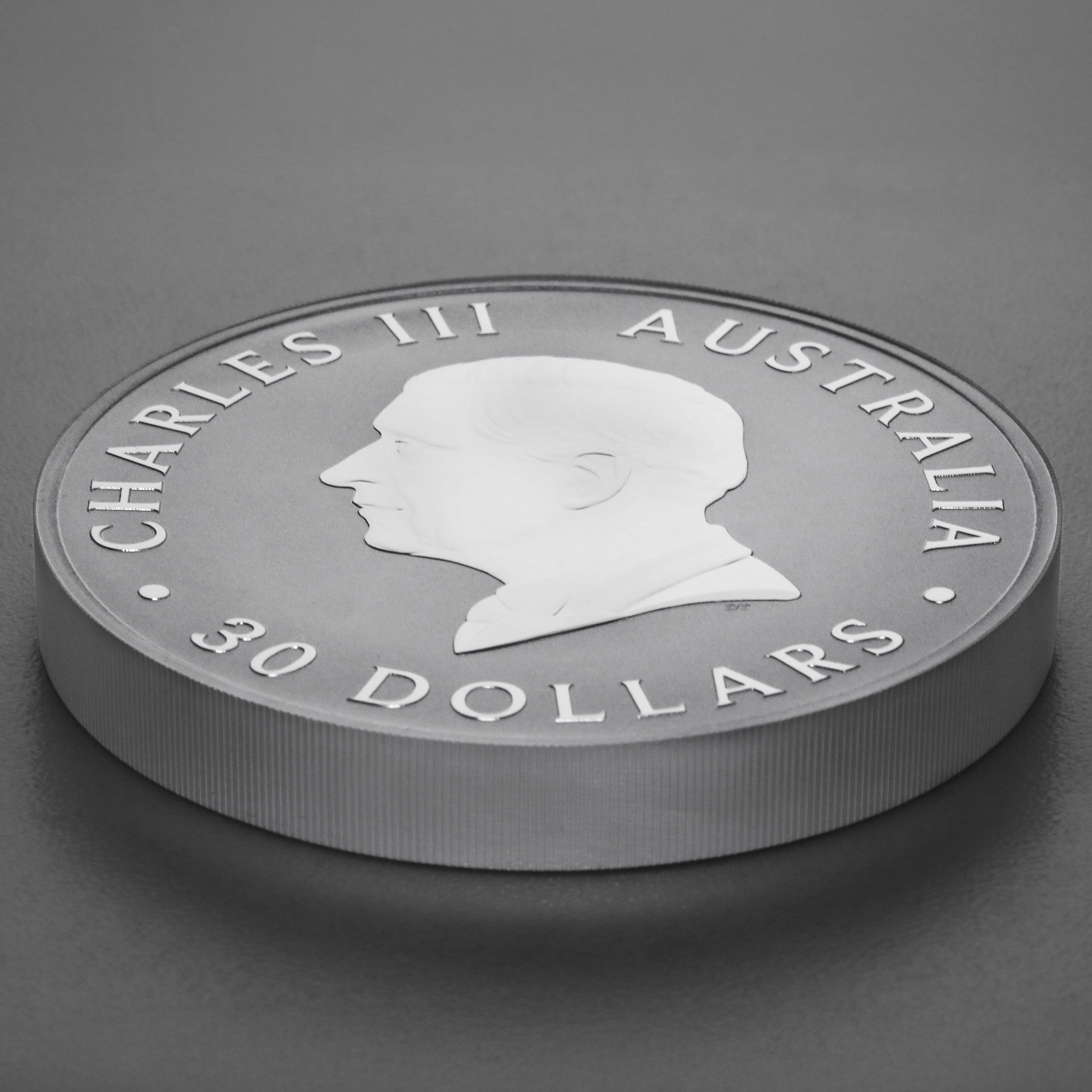 Silbermünze 1kg "Koala" 2025 (Australien) - Detailansicht 3