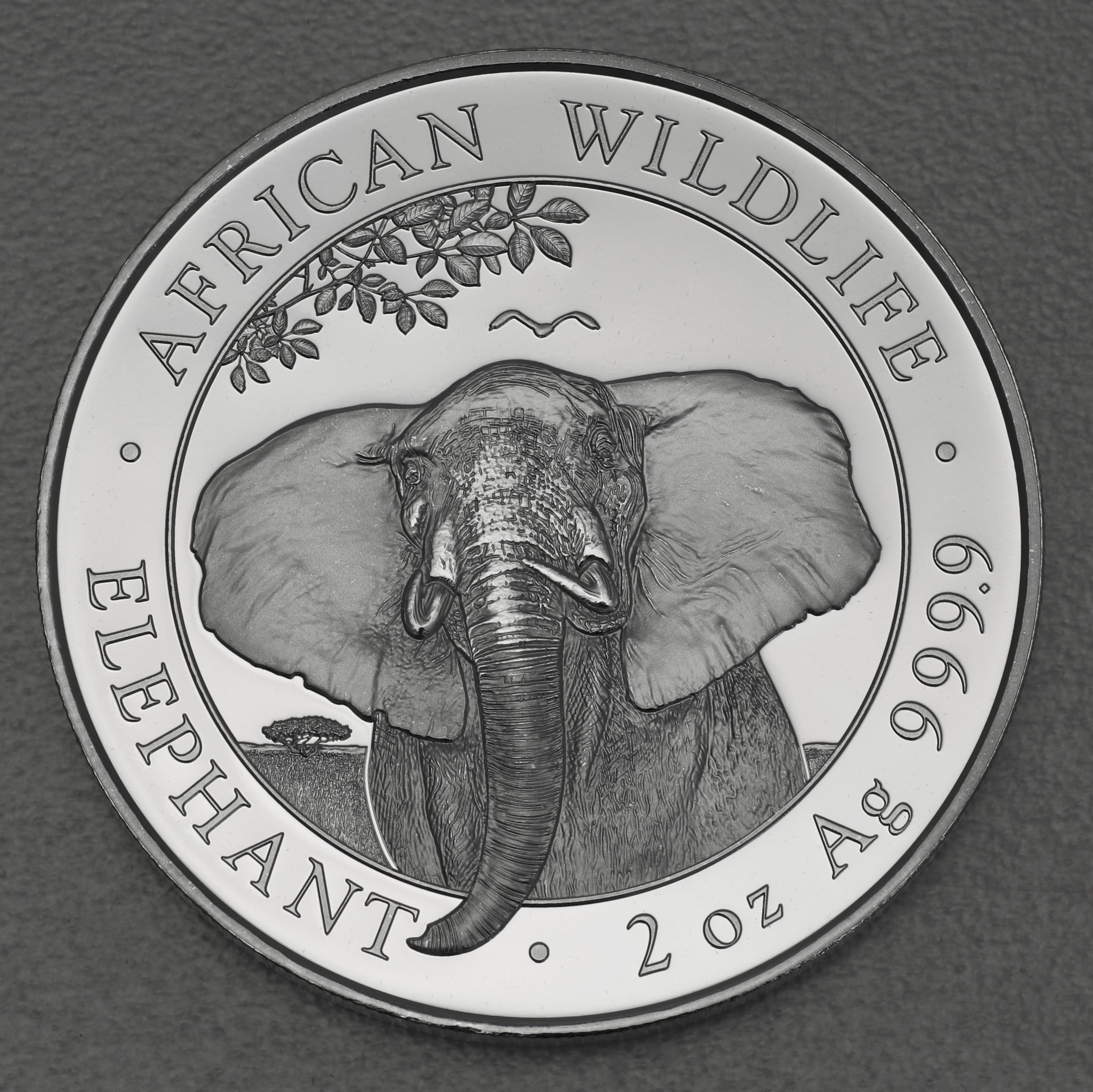Silbermünze 2oz "Elefant" 2021 African Wildlife (Somalia) - Hauptansicht