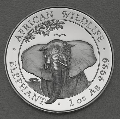 Silbermünze 2oz "Elefant" 2021 African Wildlife (Somalia) - Hauptansicht