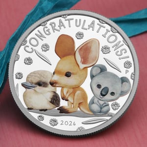 Silbermünze 1/2oz "Newborn" 2026 (PP/koloriert) (Australien) - Miniaturansicht 8