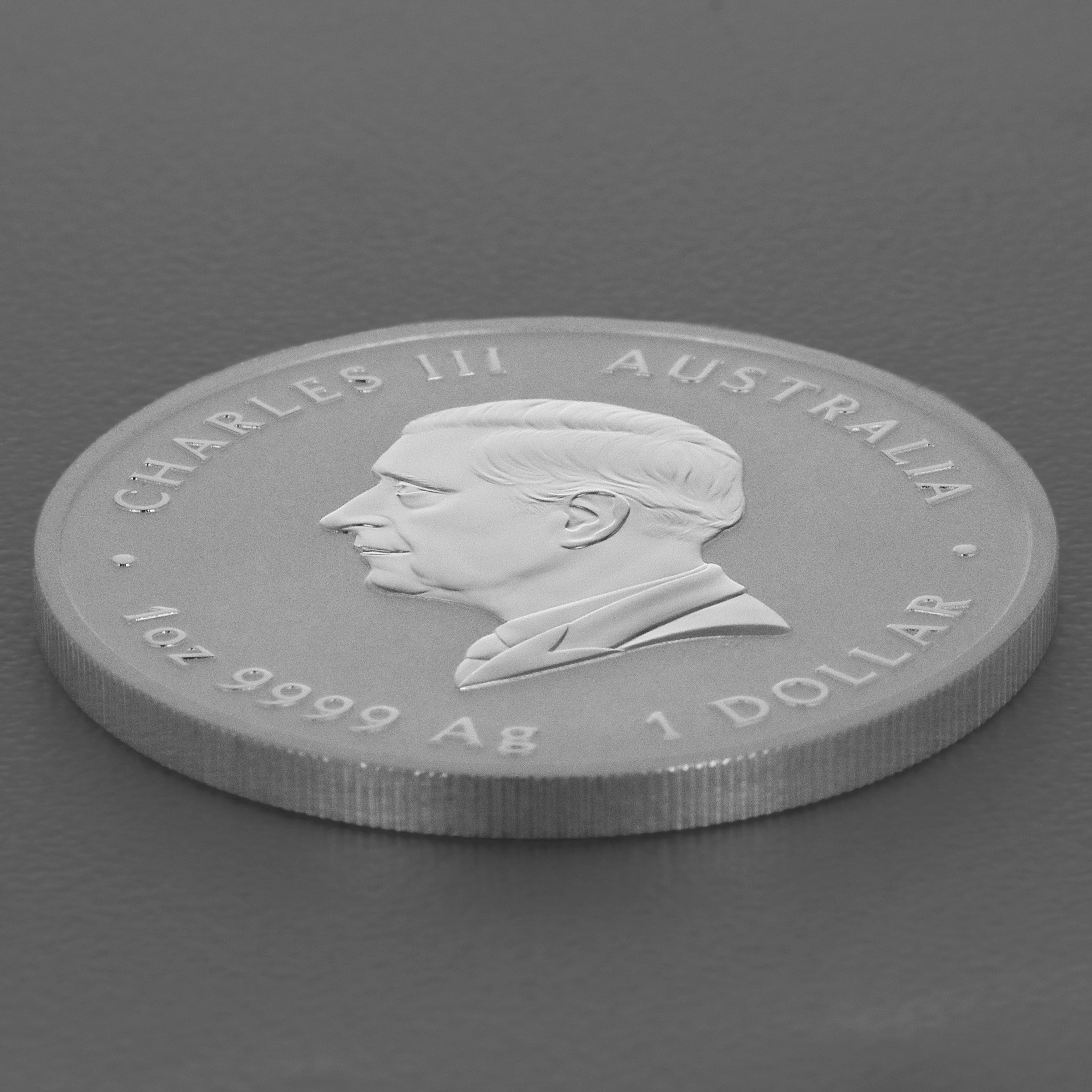 Silbermünze 1oz "Quokka" 2024 (Australien) - Detailansicht 3