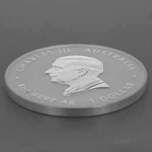 Silbermünze 1oz "Quokka" 2024 (Australien) - Miniaturansicht 4