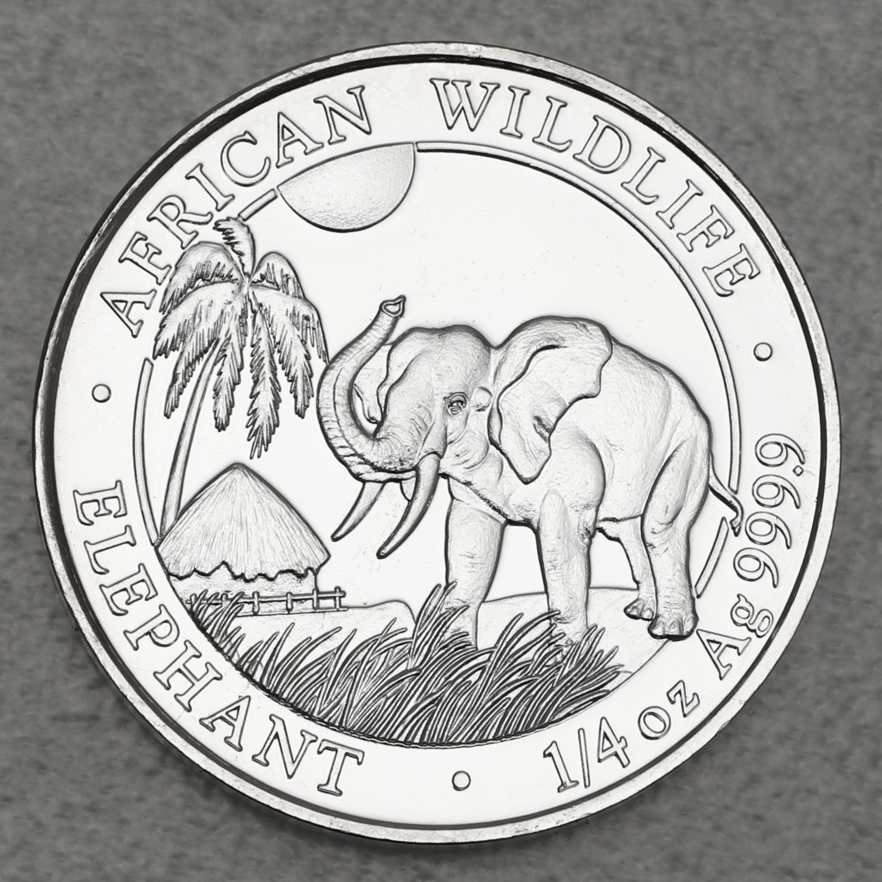 Silbermünze 1/4oz "Elefant" 2017 African Wildlife (Somalia) - Hauptansicht