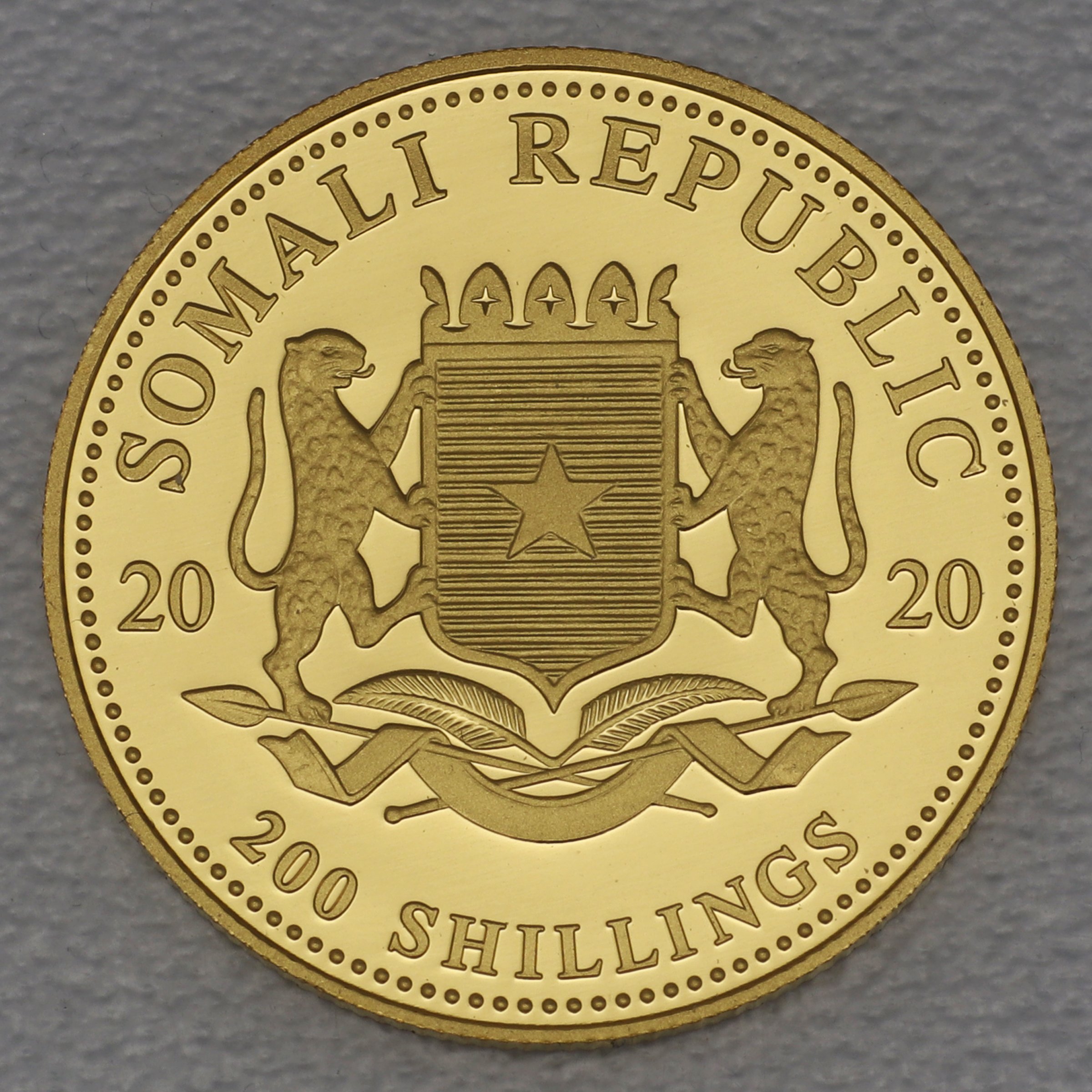 Goldmünze 1/4oz "Elefant" 2020 African Wildlife (Somalia) - Detailansicht 1