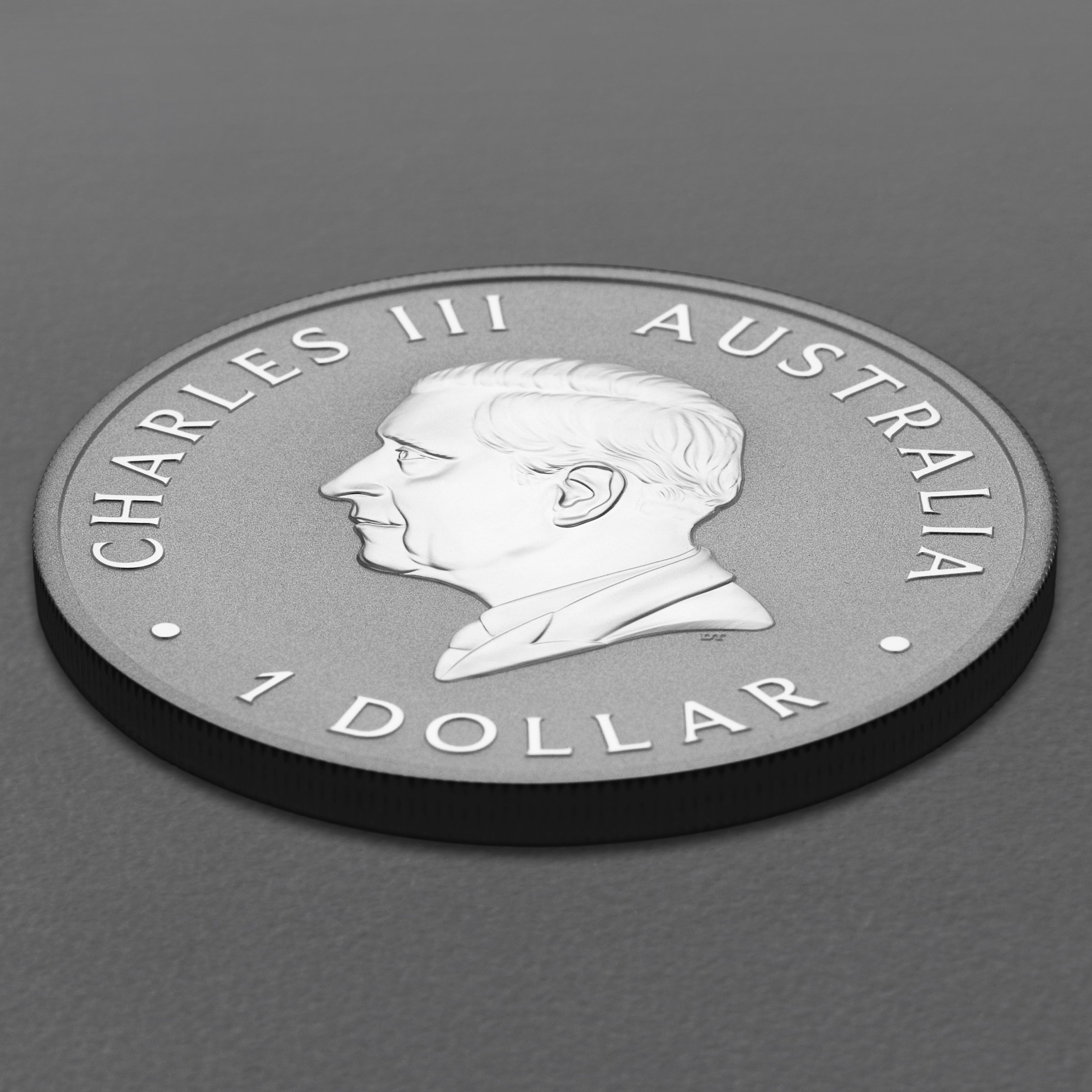 Silbermünze 1oz "Emu" 2026 (Australien) - Detailansicht 3