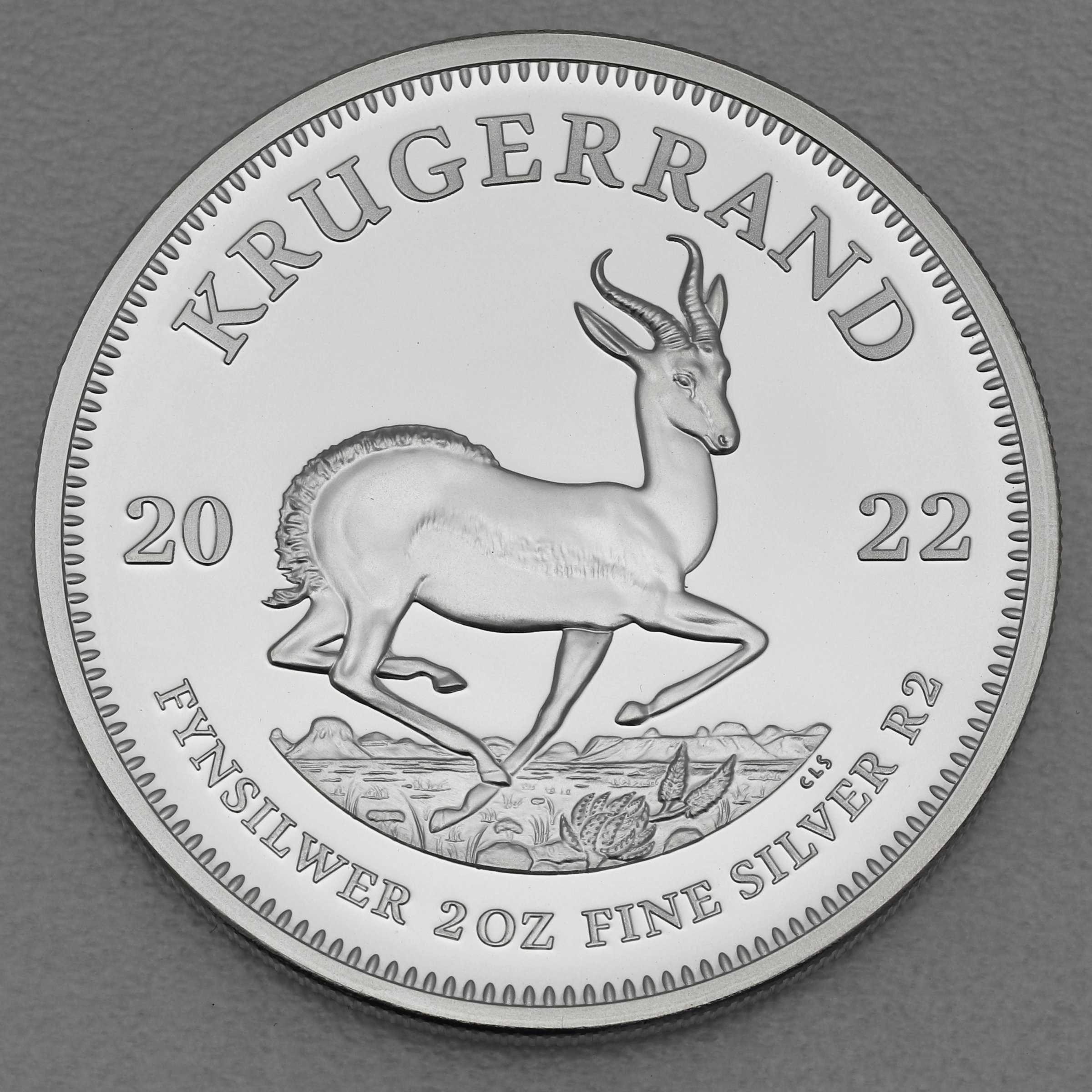 Silbermünze 2oz "Krügerrand" 2022 (PP) (Südafrika) - Hauptansicht