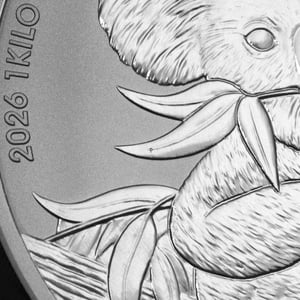 Silbermünze 1kg "Koala" 2026 (Australien) - Miniaturansicht 5