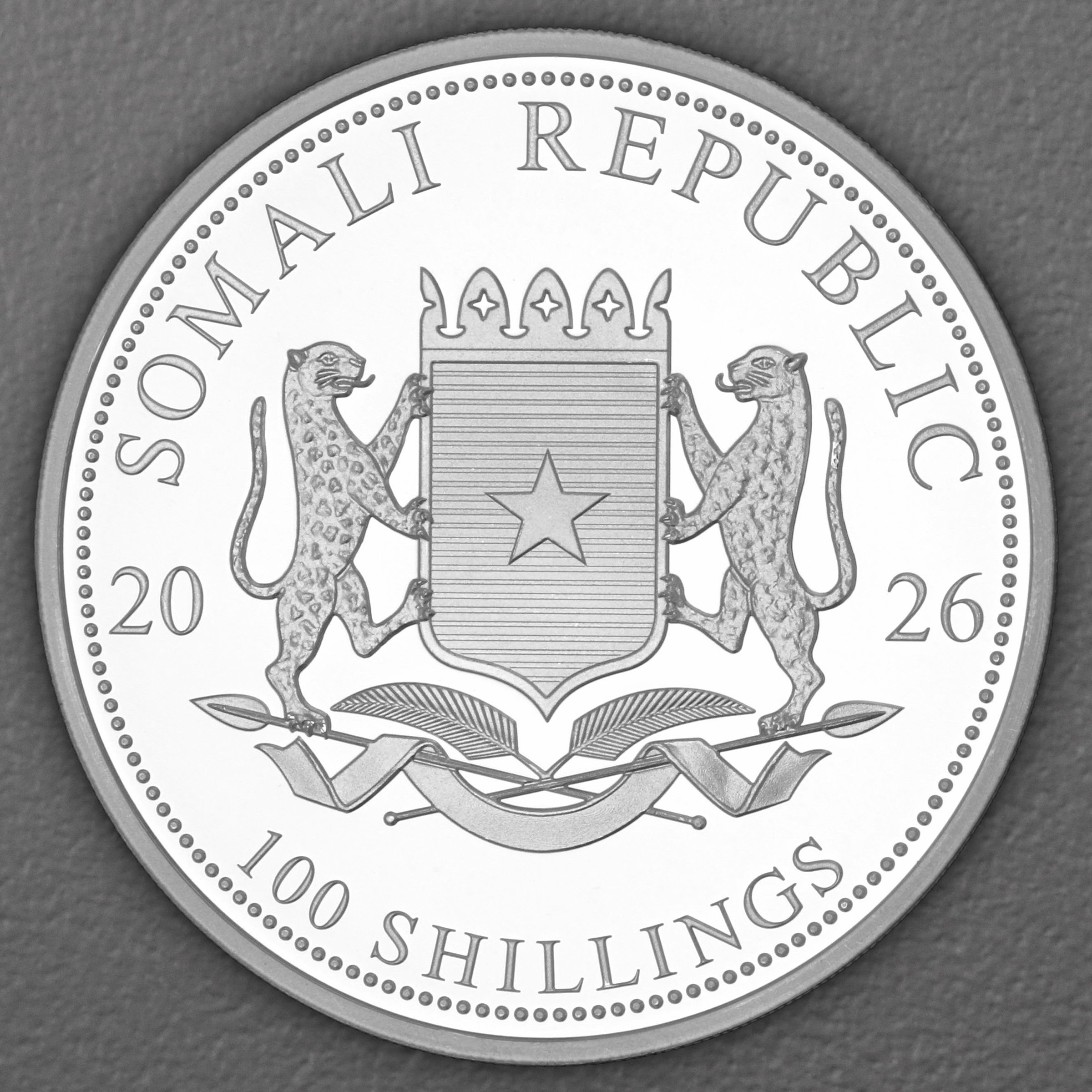 Silbermünze 1oz "Leopard" 2026 African Wildlife 19% (Somalia) - Detailansicht 1