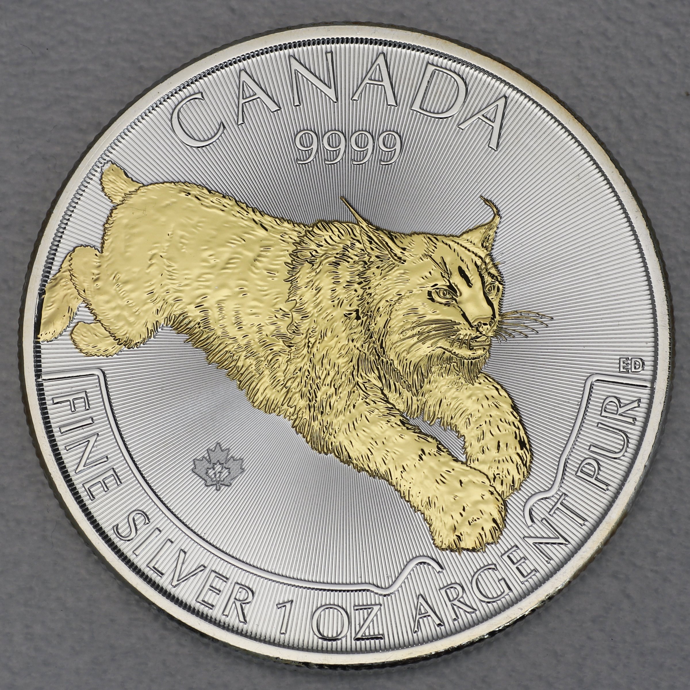 Silbermünze 1oz "Luchs" 2017 (vergoldet) Predator (Kanada) - Hauptansicht