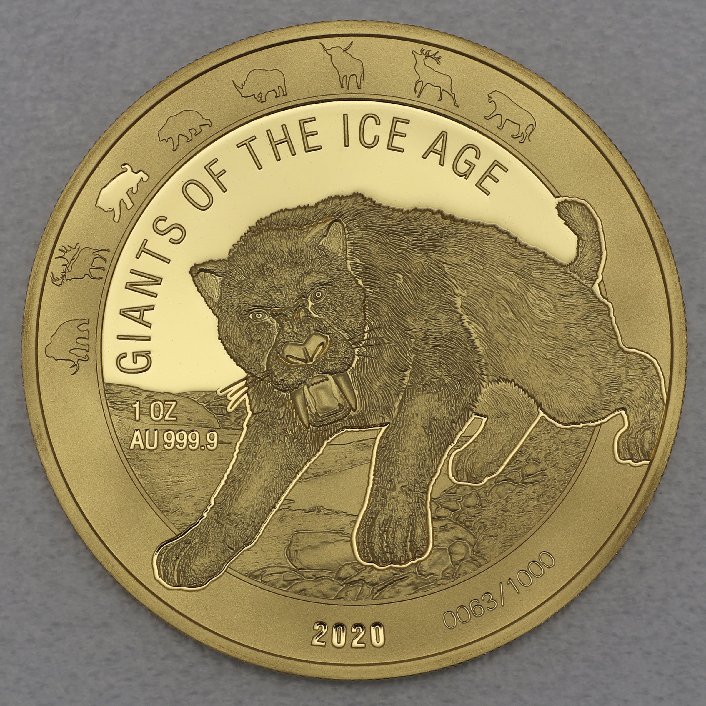 Goldmünze 1oz "Säbelzahnkatze" 2020 Giants of Ice Age (Ghana) - Hauptansicht