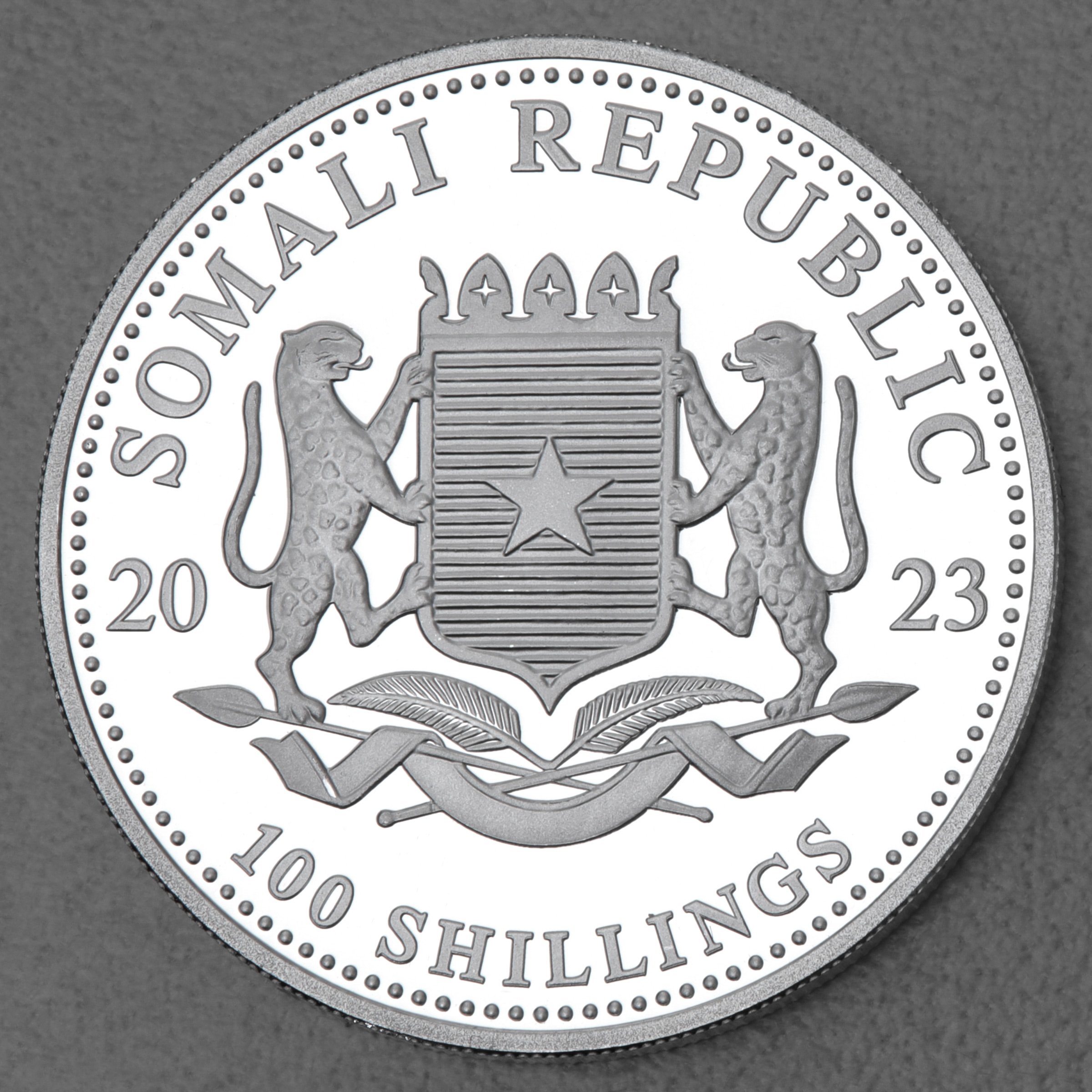 Silbermünze 1oz "Leopard" 2023 African Wildlife diff. (Somalia) - Detailansicht 1