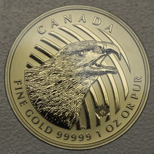 Goldmünze 1oz "Golden Eagle" 2018 Call of the wild (Kanada) - Hauptansicht