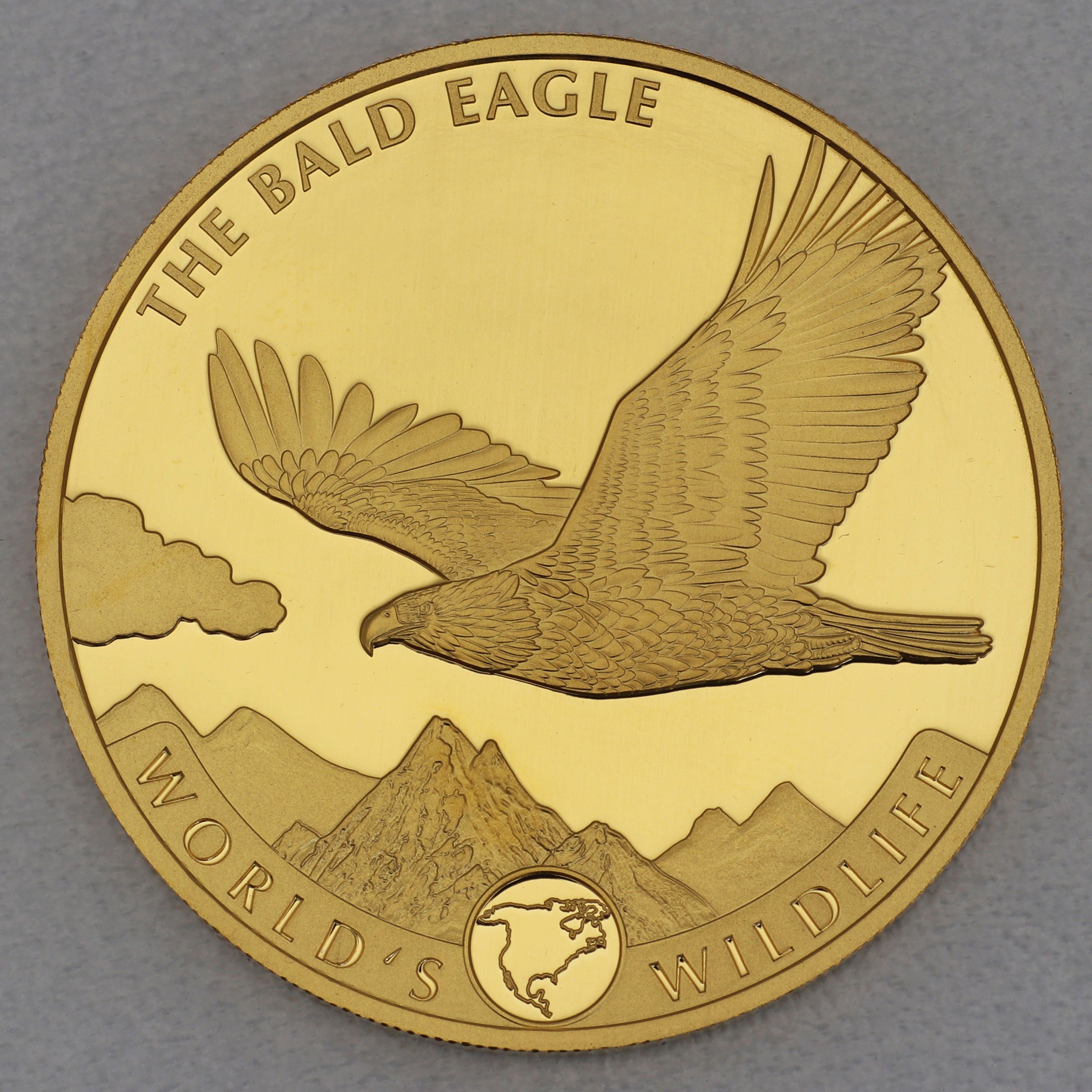 Goldmünze 5oz "Weißkopfseeadler" 2021 World s Wildlife (Kongo) - Hauptansicht