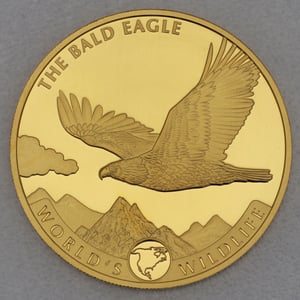 Goldmünze 5oz "Weißkopfseeadler" 2021 World s Wildlife (Kongo) - Hauptansicht