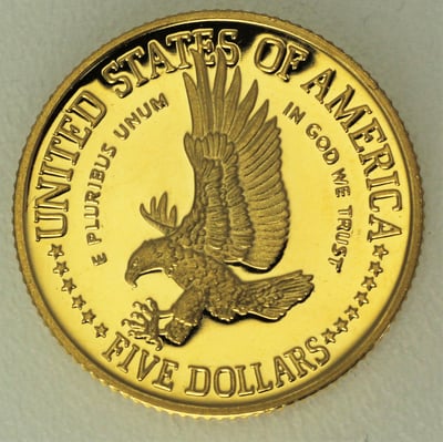 Goldmünze 5 Dollar "Freiheitsstatue" 1986 (PP) (USA) - Miniaturansicht 2