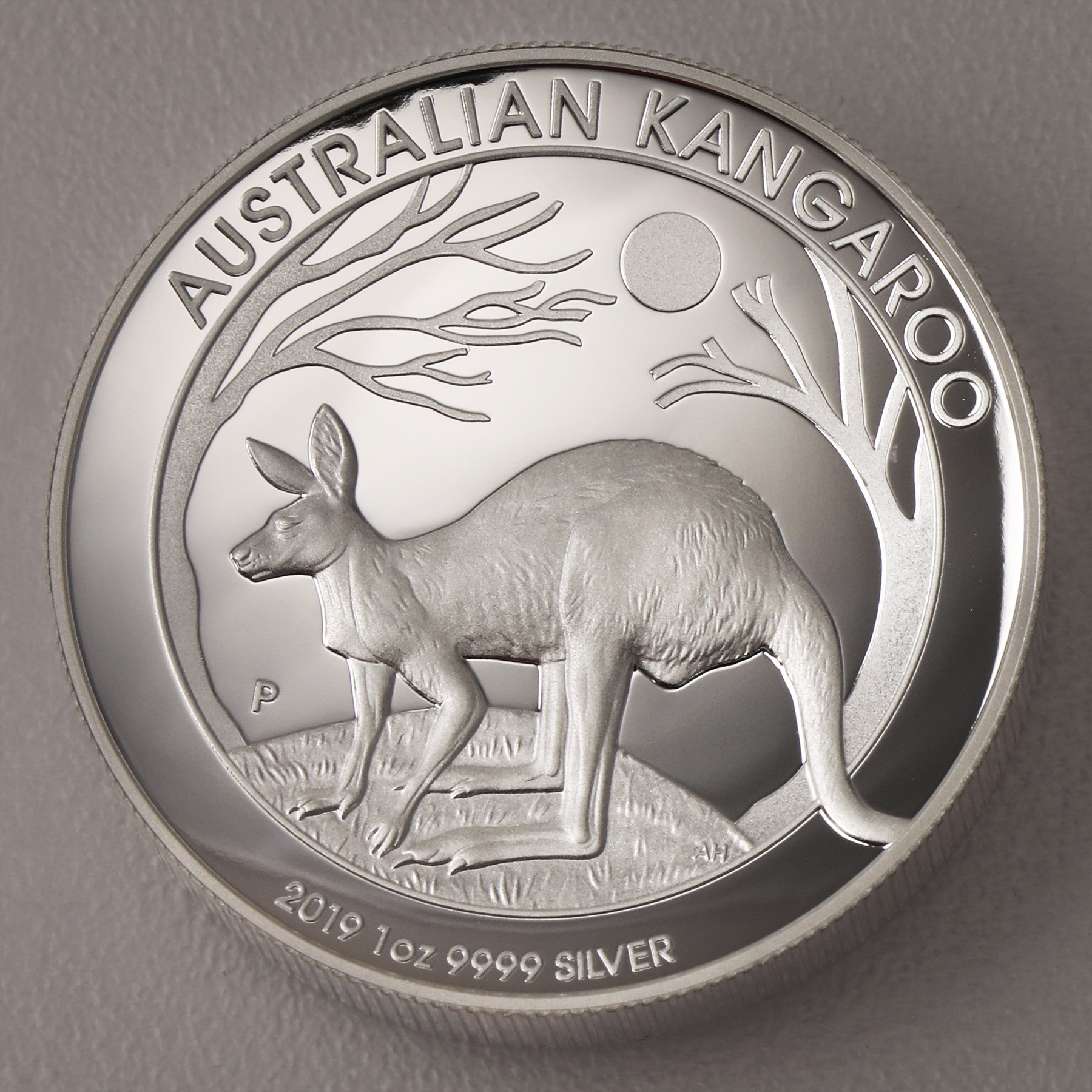 Silbermünze 1oz "Känguru" 2019 (PP/HR) (Australien) - Hauptansicht