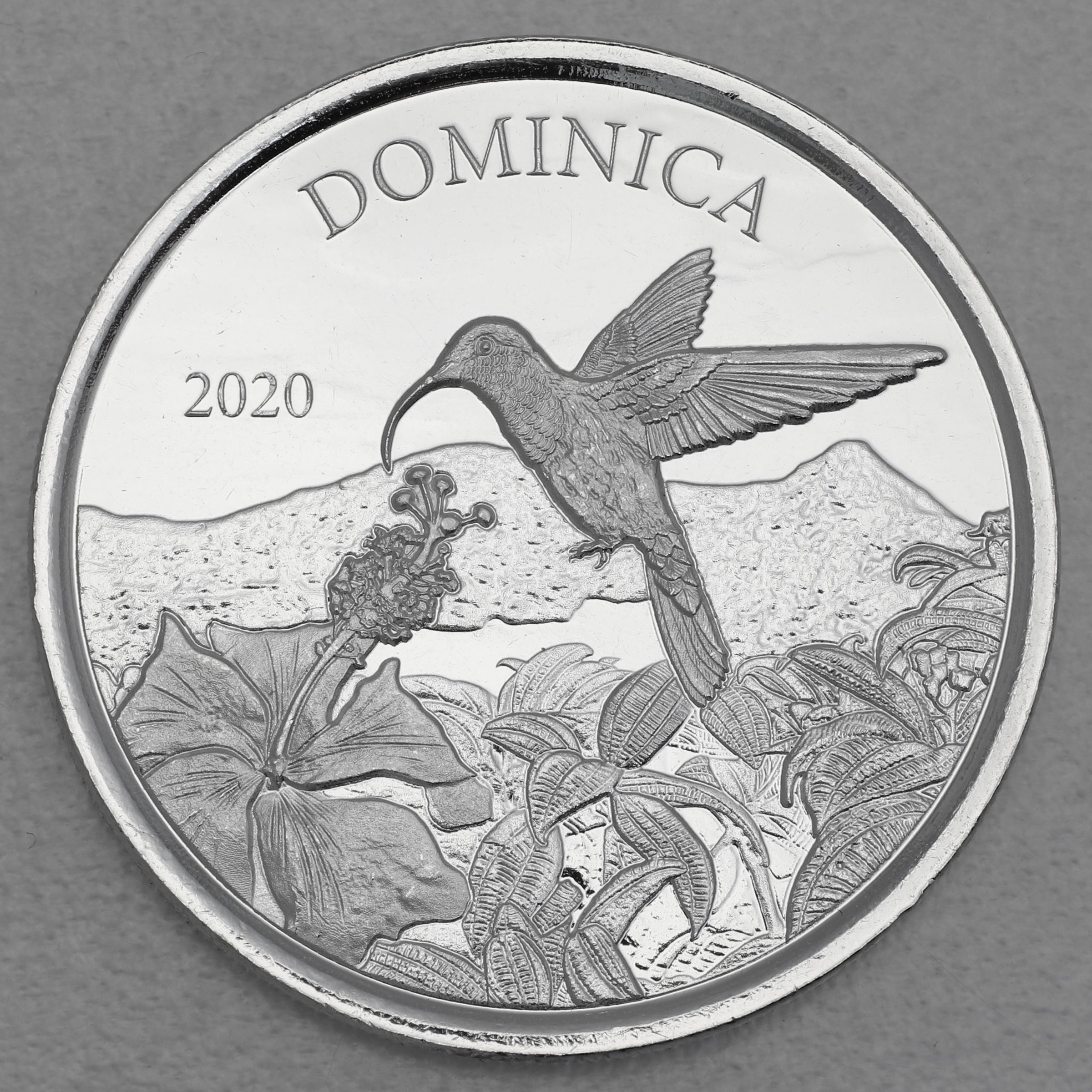 Silbermünze 1oz "Hummingbird" 2020 Eastern Caribbean 8 (Dominica) - Hauptansicht