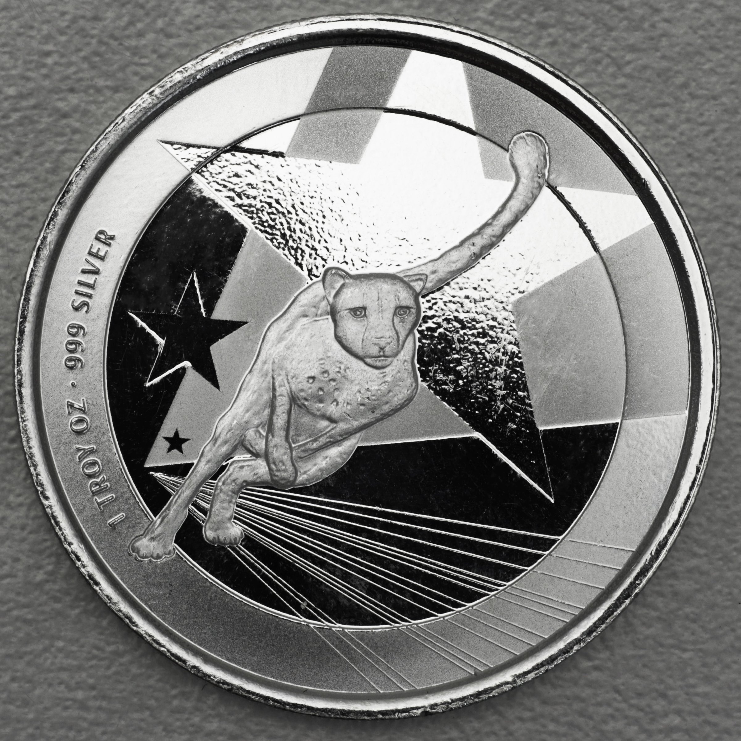 Silbermünze 1oz "Gepard" 2019 (Kamerun) - Hauptansicht