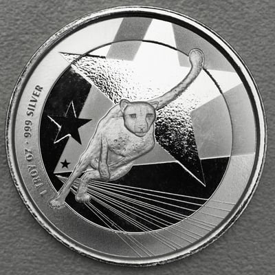 Silbermünze 1oz "Gepard" 2019 (Kamerun) - Miniaturansicht 1