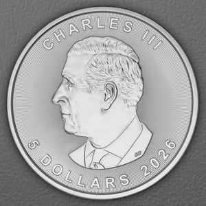 Silbermünze 1oz "Maple Leaf" aktueller Jahrgang 19% (Kanada) - Miniaturansicht 2