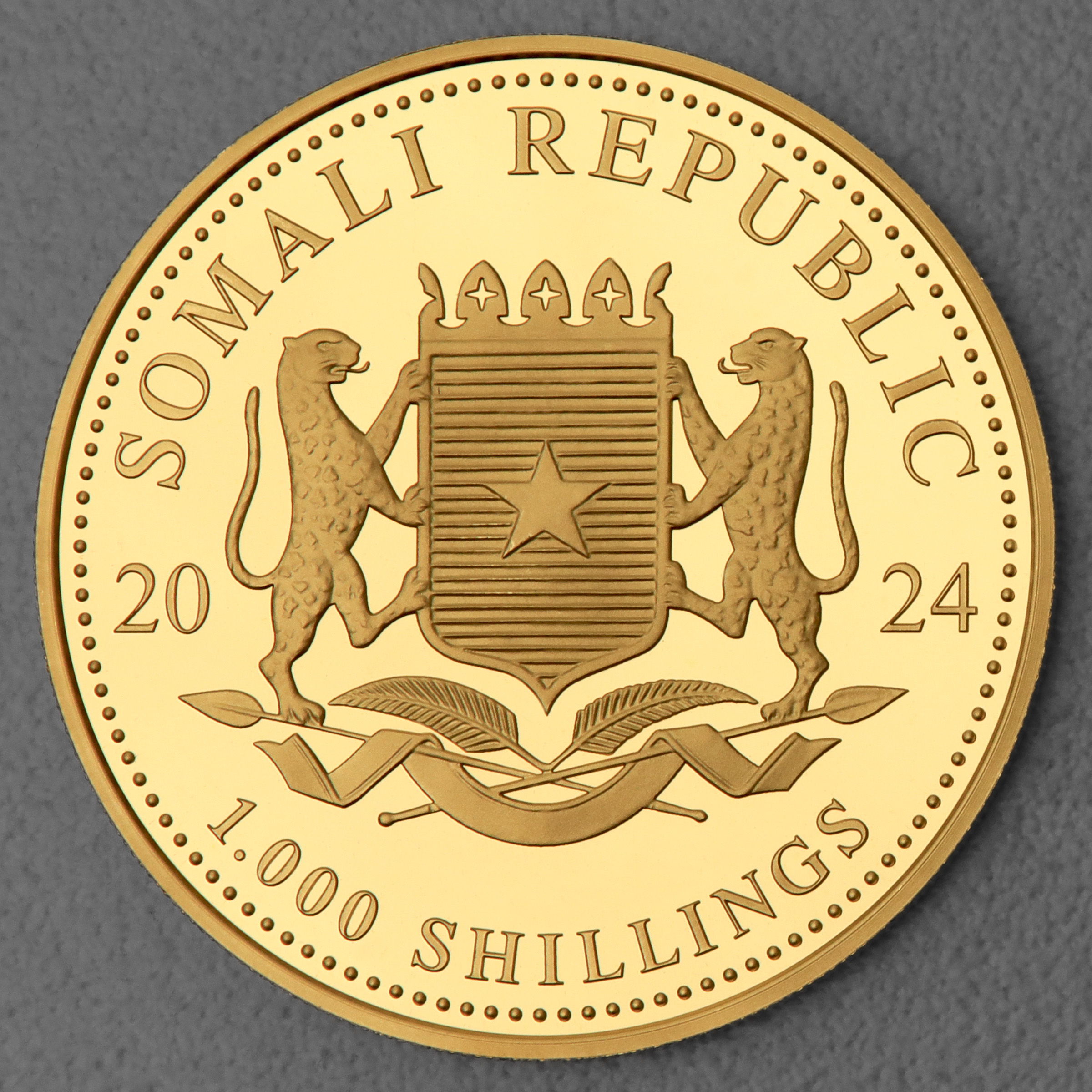 Goldmünze 1oz "Elefant" 2024 African Wildlife (Somalia) - Detailansicht 1