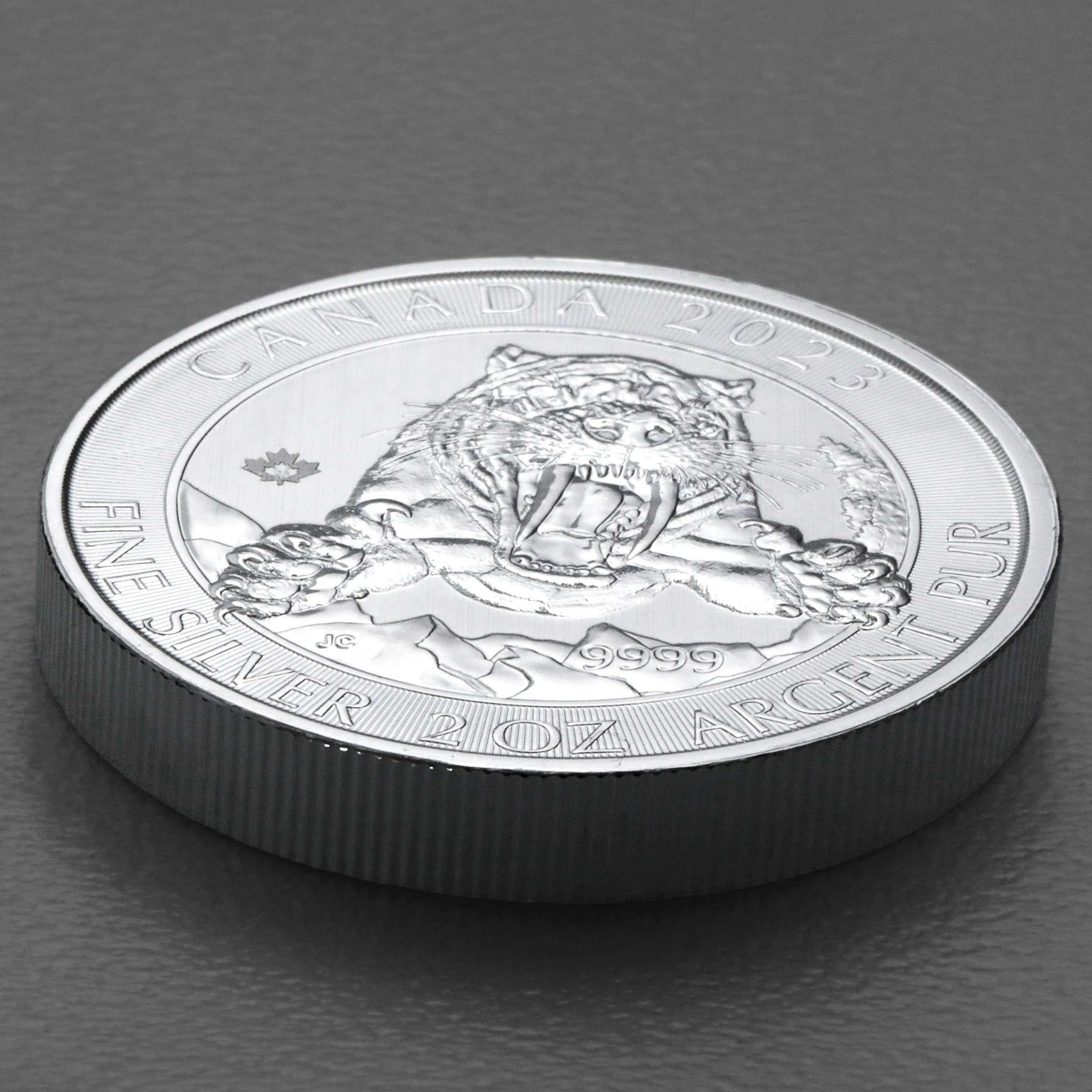 Silbermünze 2oz "Smilodon Säbelzahntiger" 2023 Ice Age 19% (Kanada) - Detailansicht 2
