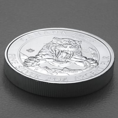 Silbermünze 2oz "Smilodon Säbelzahntiger" 2023 Ice Age 19% (Kanada) - Miniaturansicht 3