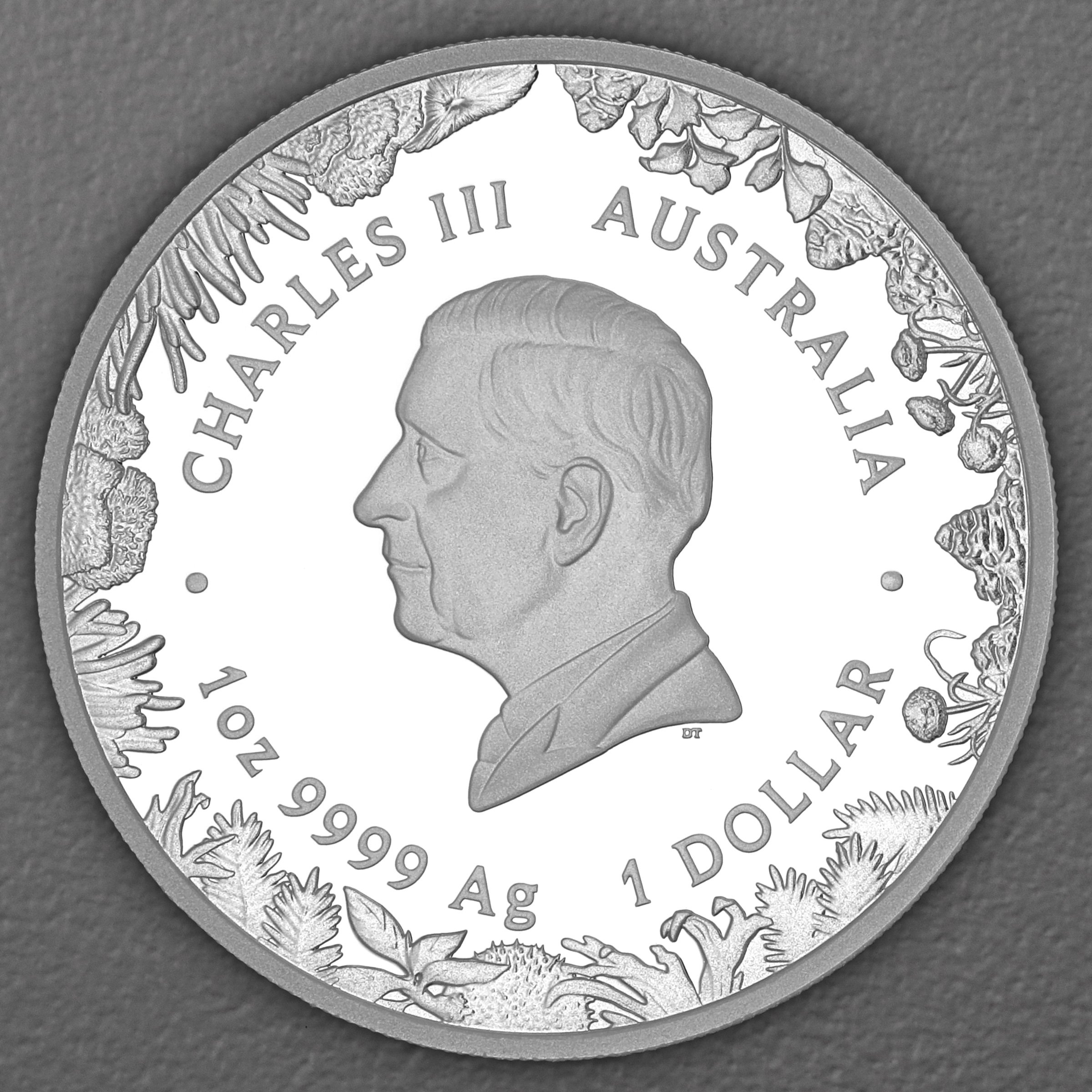 Silbermünze 1oz "The Outback" 2026 (PP) Wonders of Australia (Australien) - Detailansicht 1