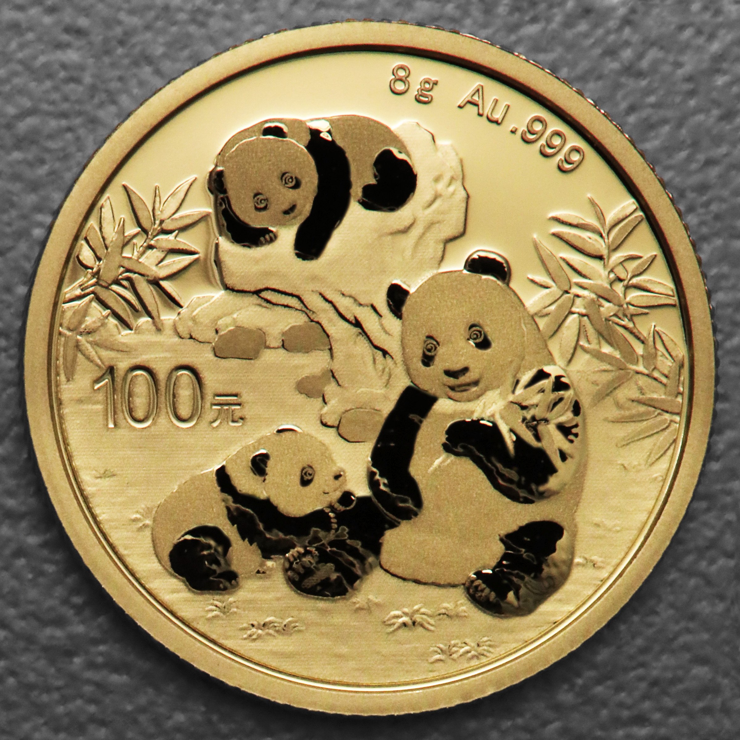 Goldmünze 8g "Panda" 2025 (China) - Hauptansicht