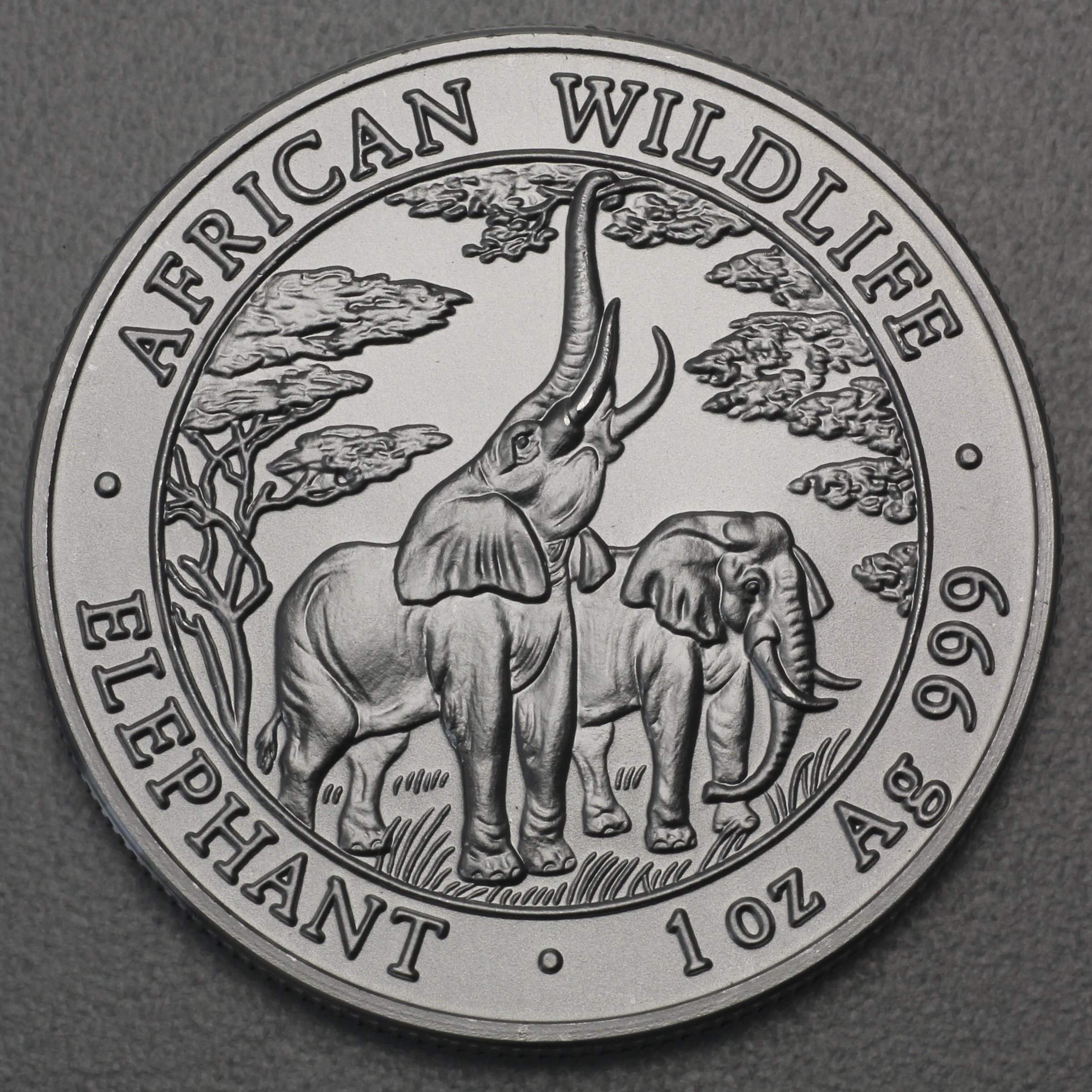 Silbermünze 1oz "Zambia Elefant" 2003 African Wildlife (Sambia) - Hauptansicht
