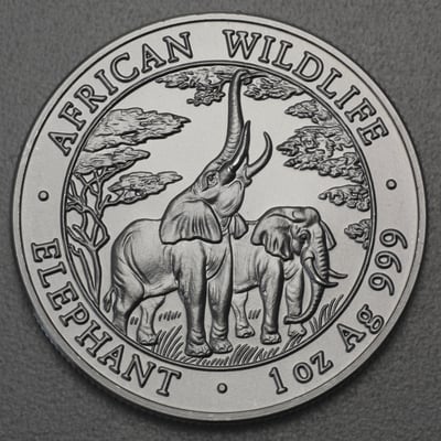 Silbermünze 1oz "Zambia Elefant" 2003 African Wildlife (Sambia) - Miniaturansicht 1
