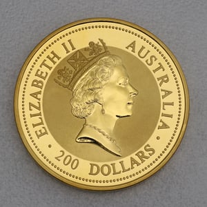 Goldmünze 2oz "Känguru" 1994 Australian Nugget (Australien) - Miniaturansicht 2