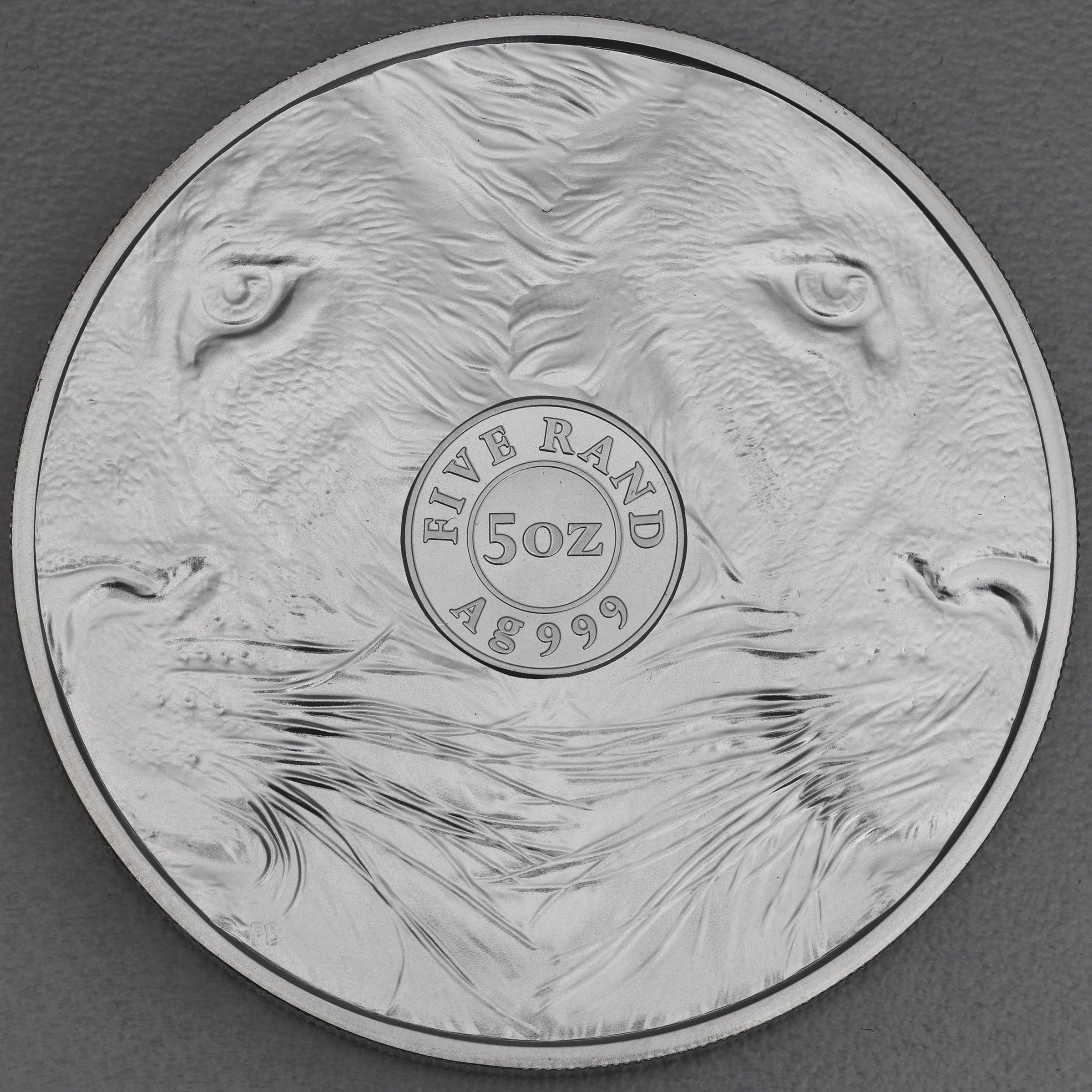 Silbermünze 5oz "Löwe" 2022 Big Five II (Südafrika) - Detailansicht 1