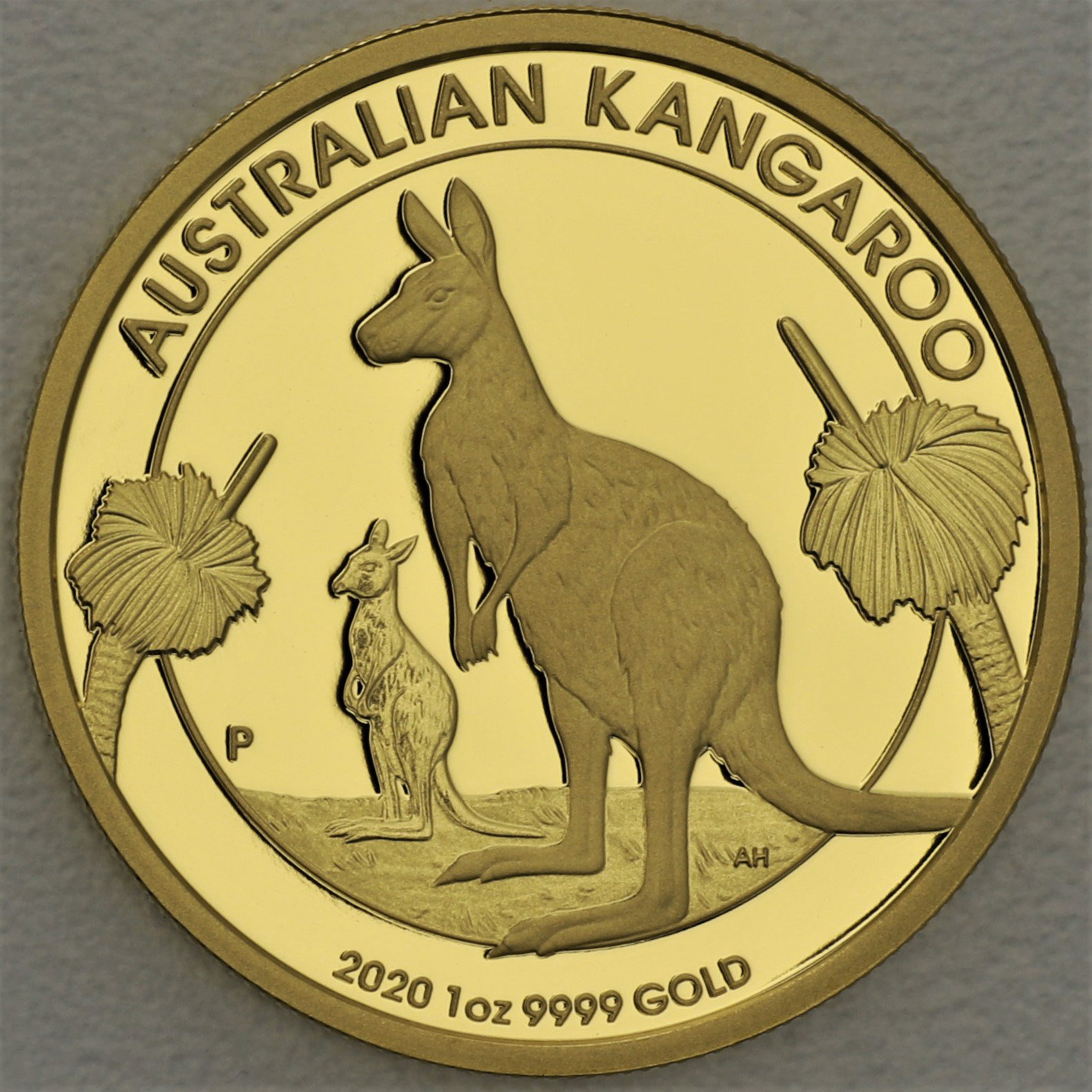 Goldmünzen "Känguru" 2020 (PP) Set – 5-teilig (Australien) - Detailansicht 2