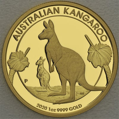 Goldmünzen "Känguru" 2020 (PP) Set – 5-teilig (Australien) - Miniaturansicht 3