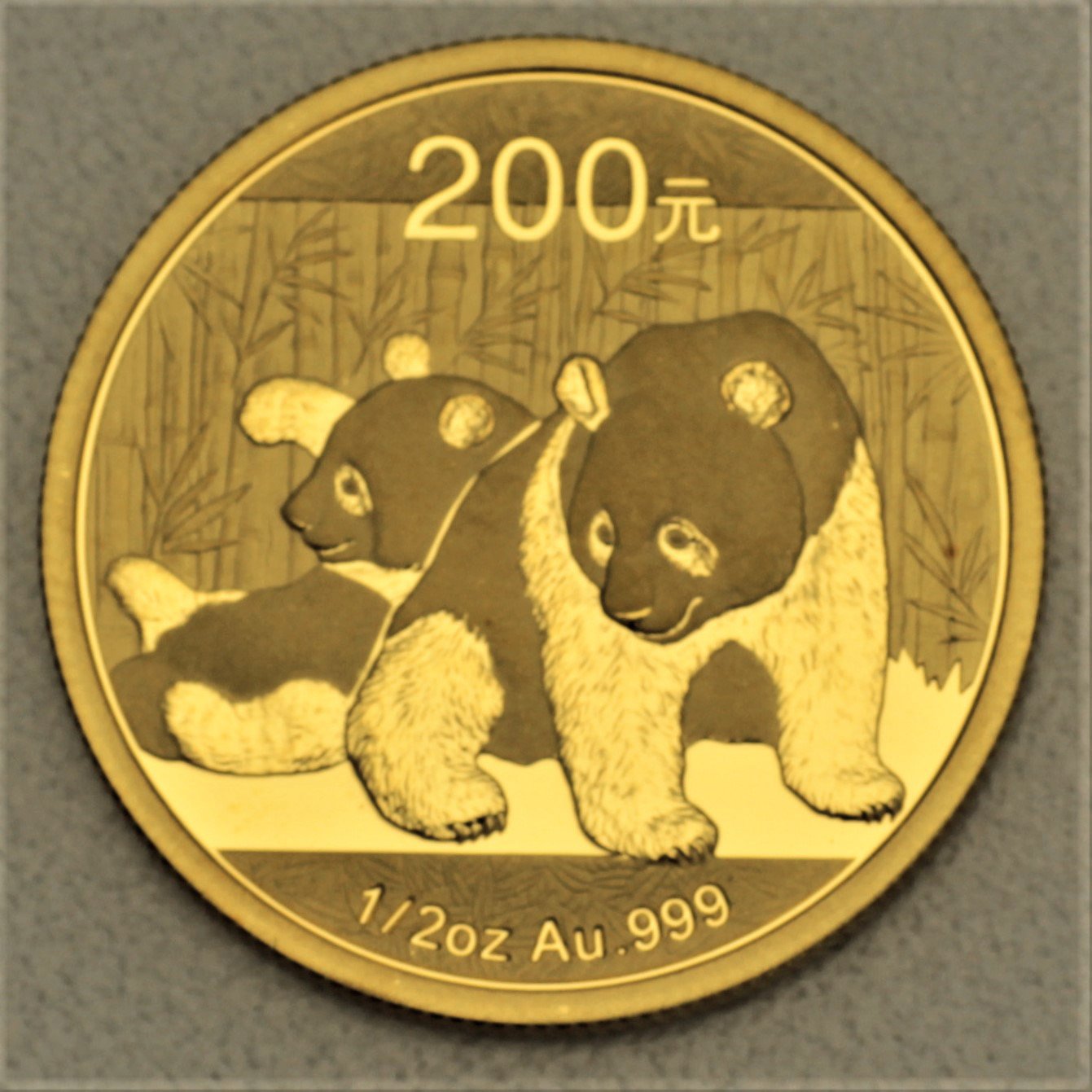 Goldmünze 1/2oz "Panda" 2010 (China) - Hauptansicht