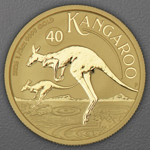 Goldmünze 1/2oz "Känguru" aktueller Jahrgang (Australien) - Hauptansicht