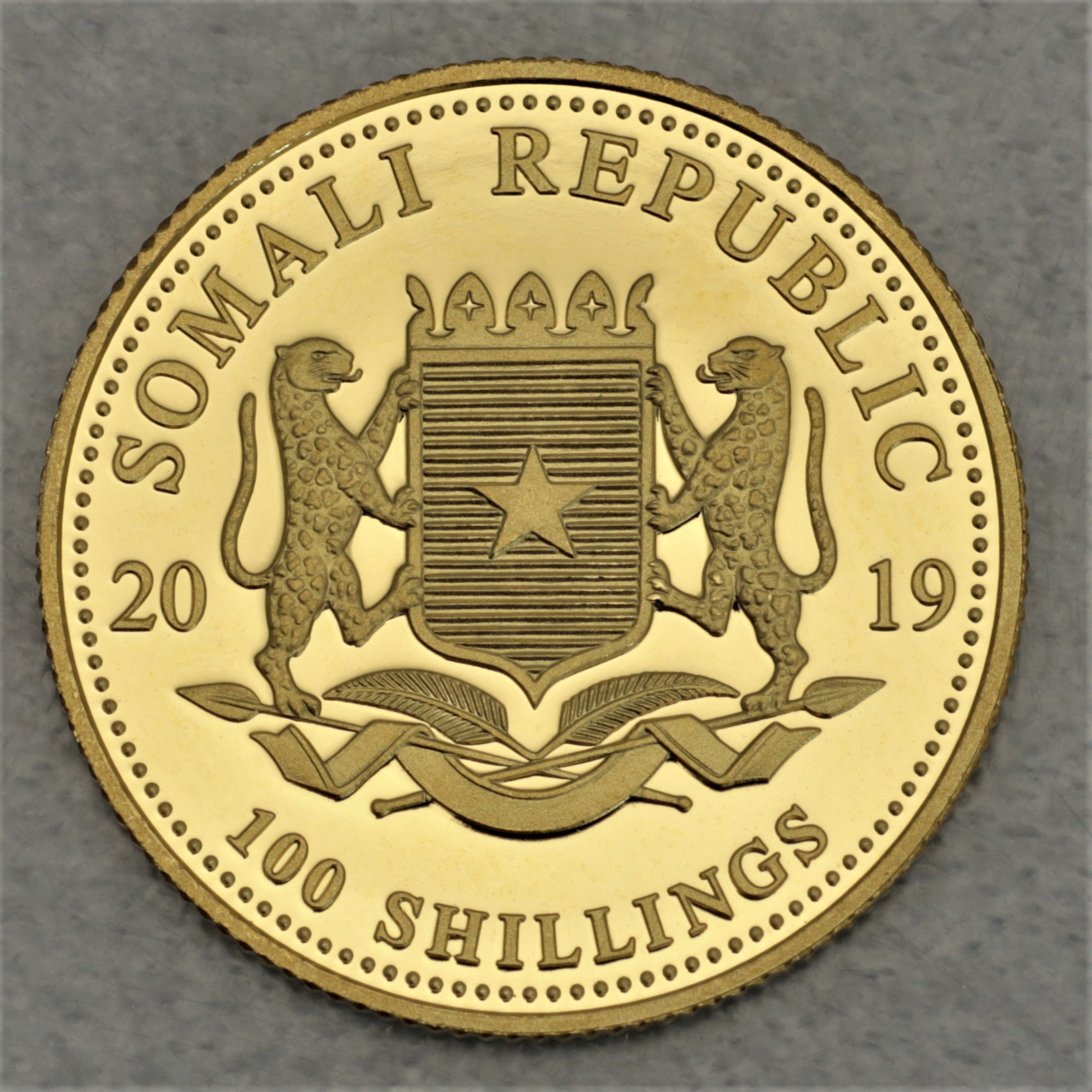 Goldmünze 1/10oz "Elefant" 2019 African Wildlife (Somalia) - Detailansicht 1