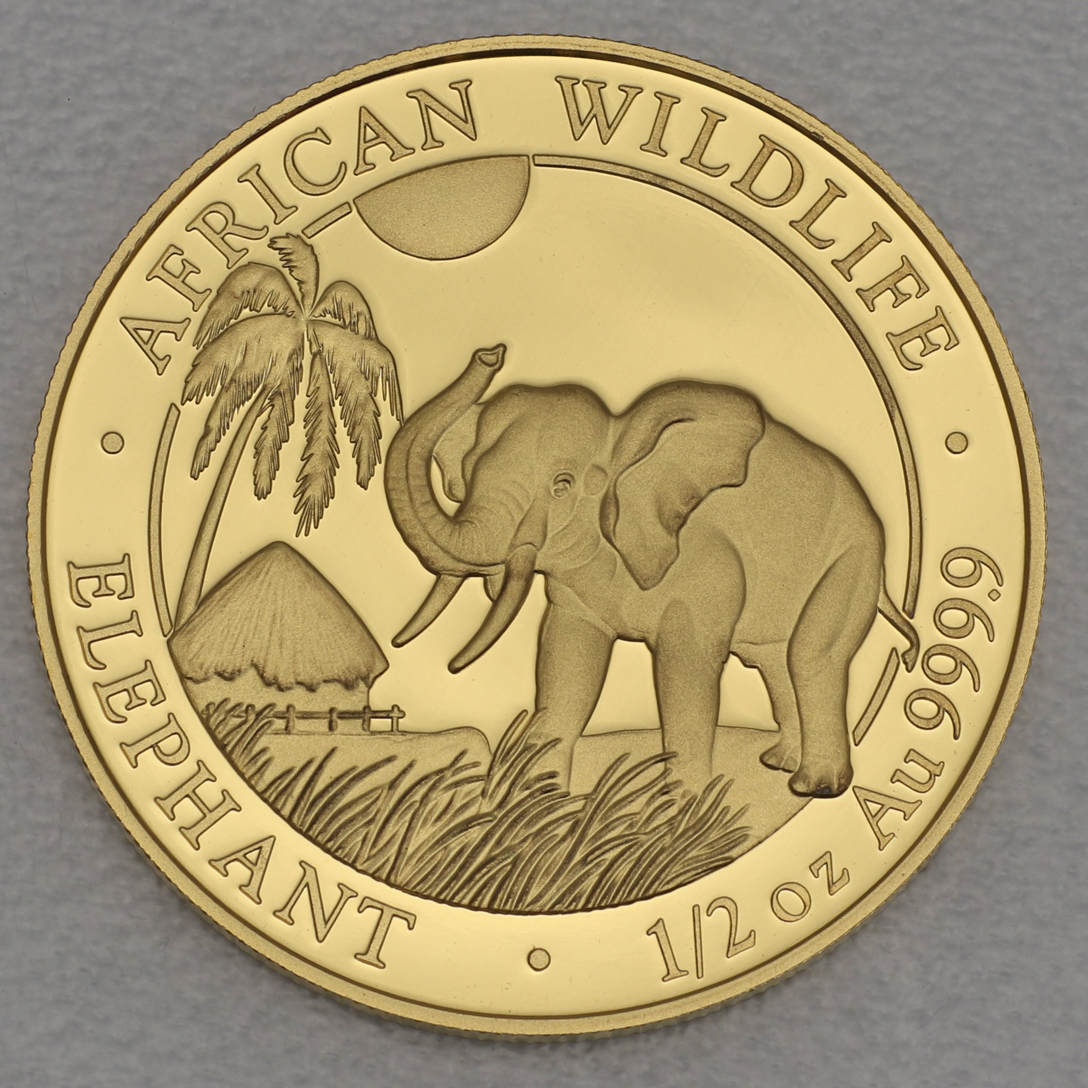 Goldmünze 1/2oz "Elefant" 2017 African Wildlife (Somalia) - Hauptansicht