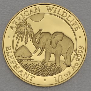 Goldmünze 1/2oz "Elefant" 2017 African Wildlife (Somalia) - Hauptansicht