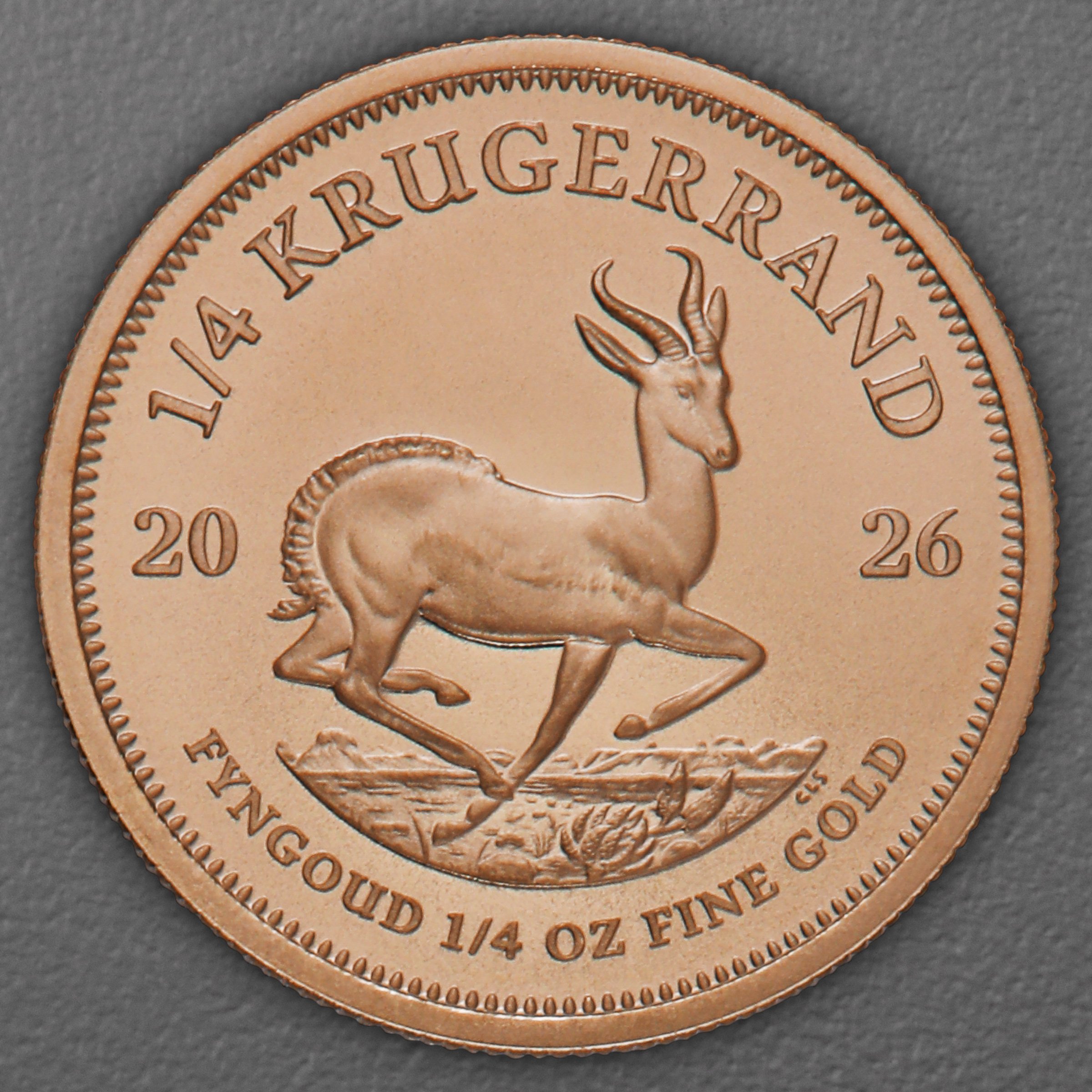 Goldmünze 50 x 1/4oz "Krügerrand" aktueller Jahrgang Tube (Südafrika) - Detailansicht 1