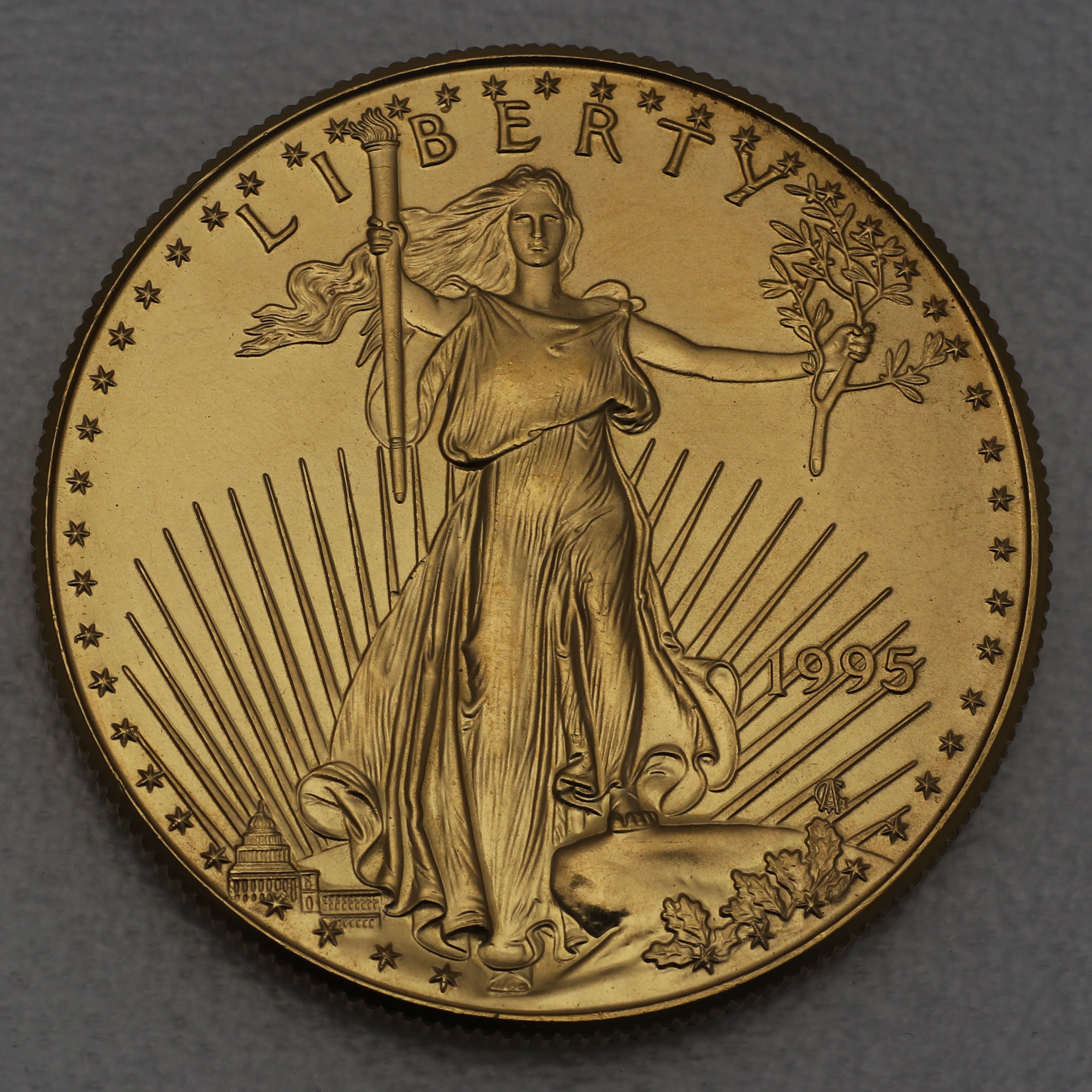 Goldmünze 1oz "American Eagle" 1995 (USA) - Hauptansicht