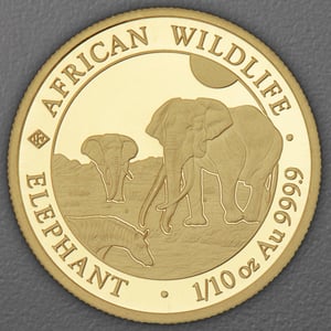 Goldmünze 1/10oz "Elefant" 2026 African Wildlife (Somalia) - Hauptansicht